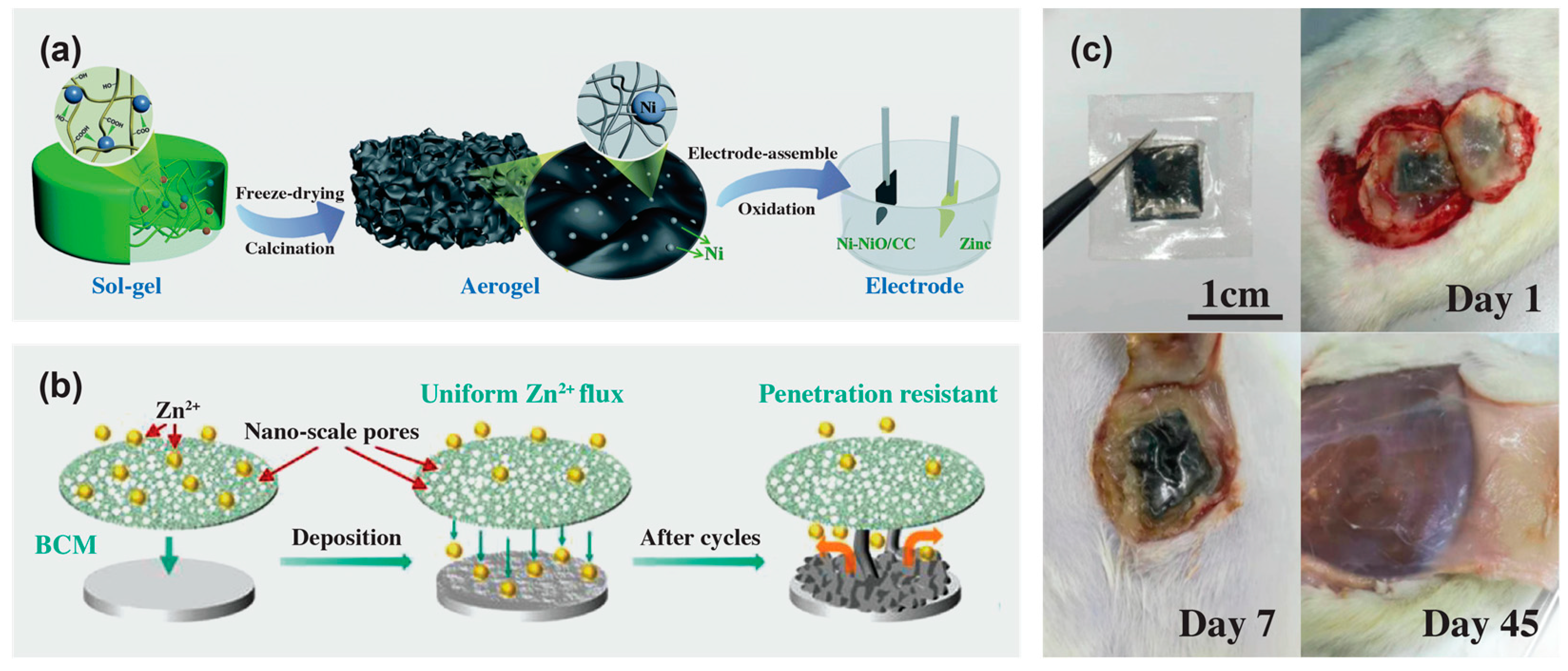 Materials 16 03856 g009