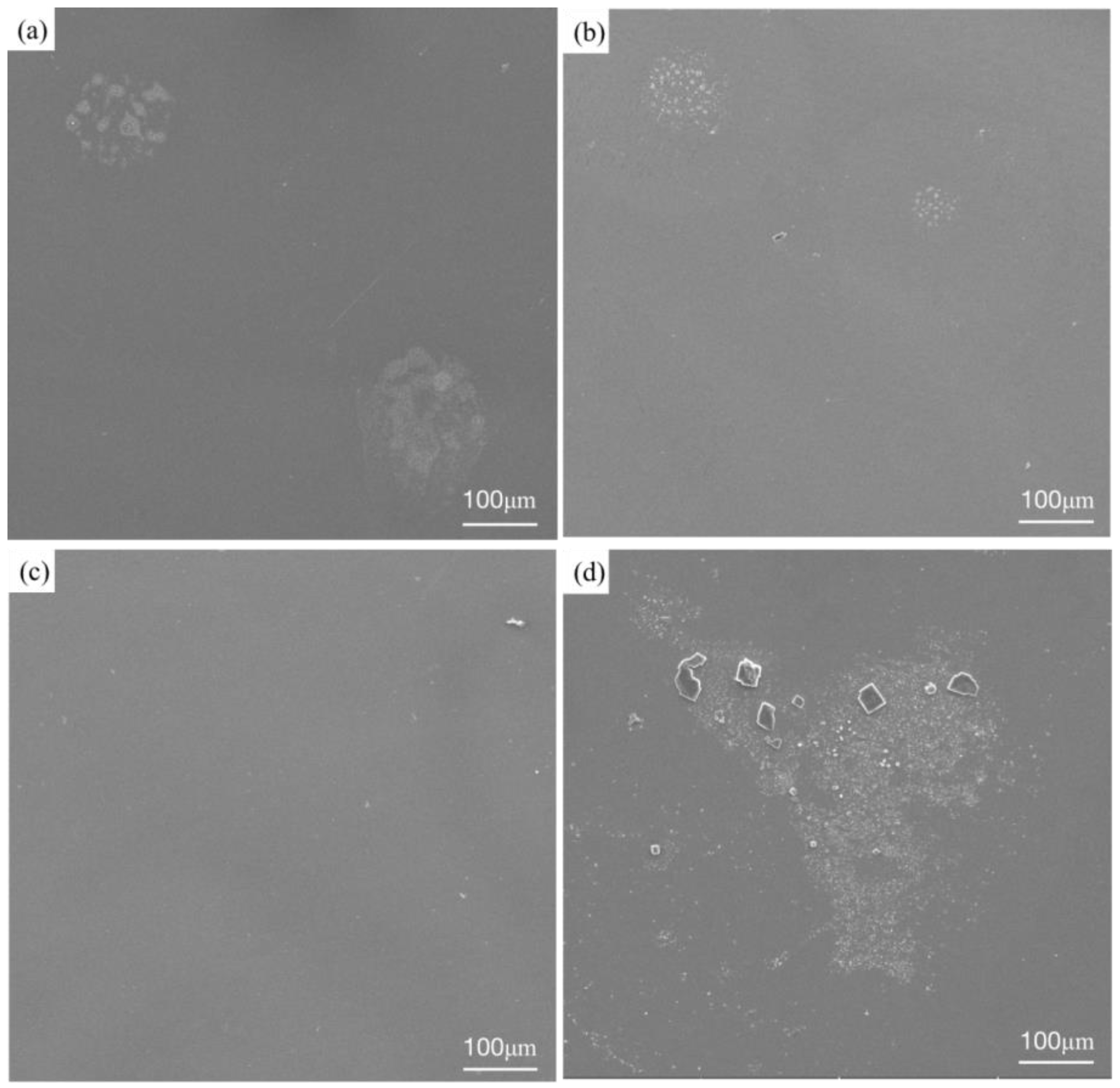 Materials 16 03860 g010