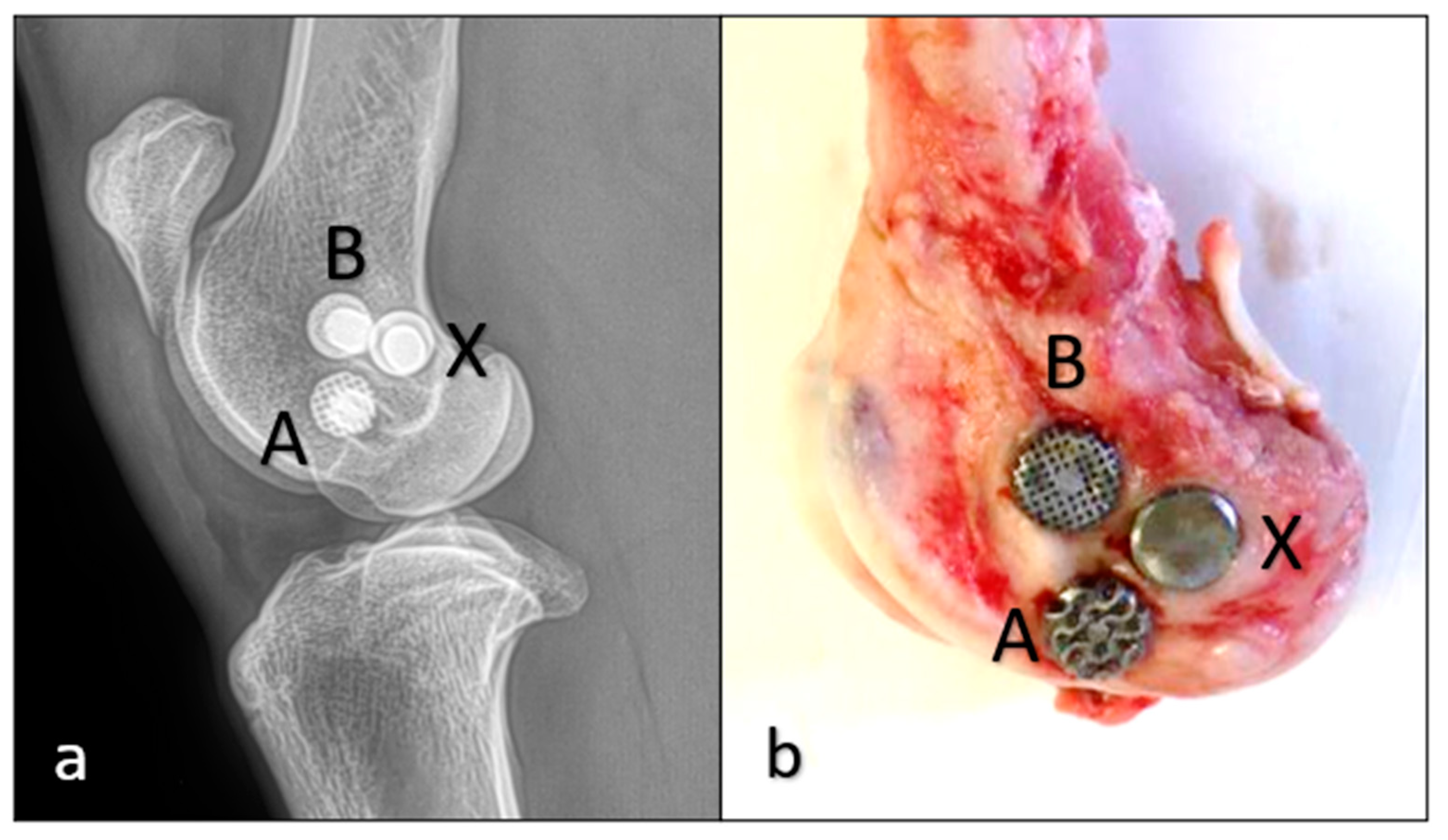 Materials 16 03861 g002 Materials 16 03861 g002
