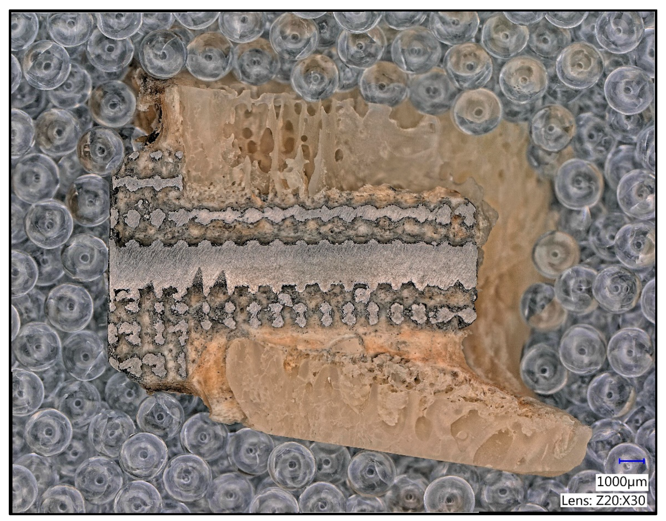 Materials 16 03861 g005 Materials 16 03861 g005