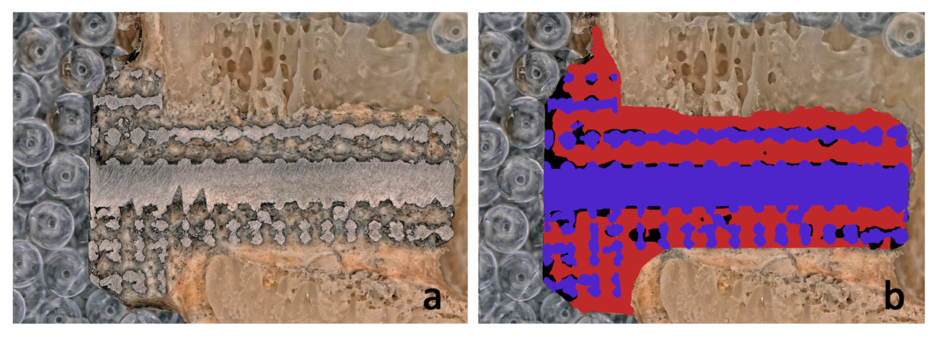 Materials 16 03861 g008 Materials 16 03861 g008