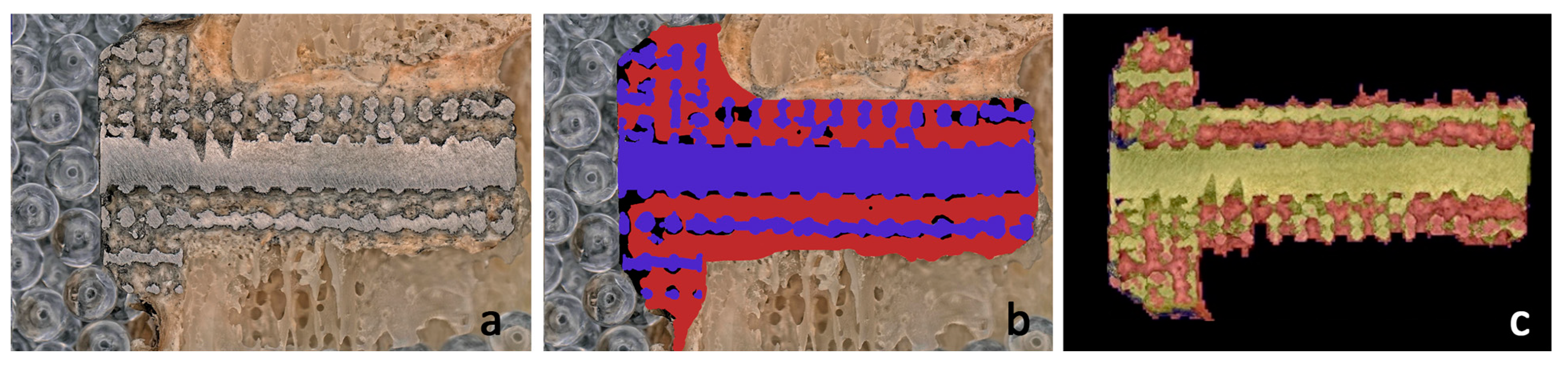 Materials 16 03861 g010 Materials 16 03861 g010