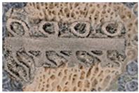 Materials 16 03861 i002 Materials 16 03861 i002