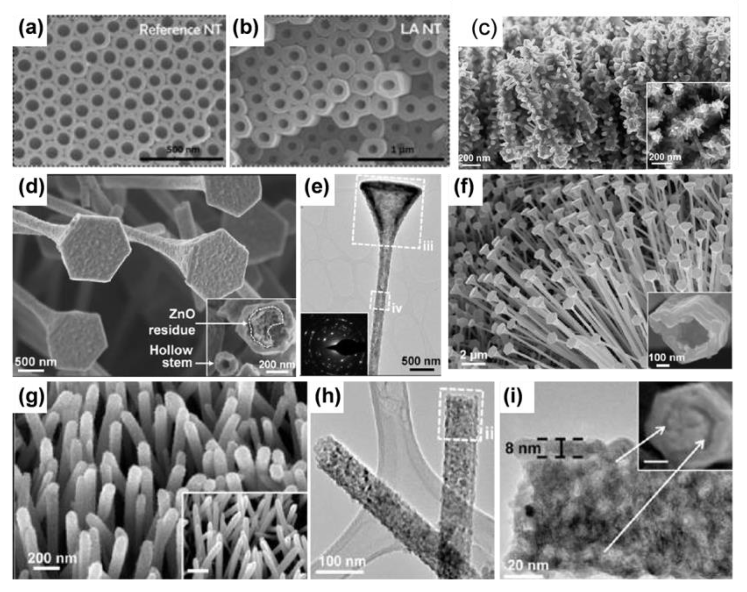 Materials 16 03864 g004 Materials 16 03864 g004