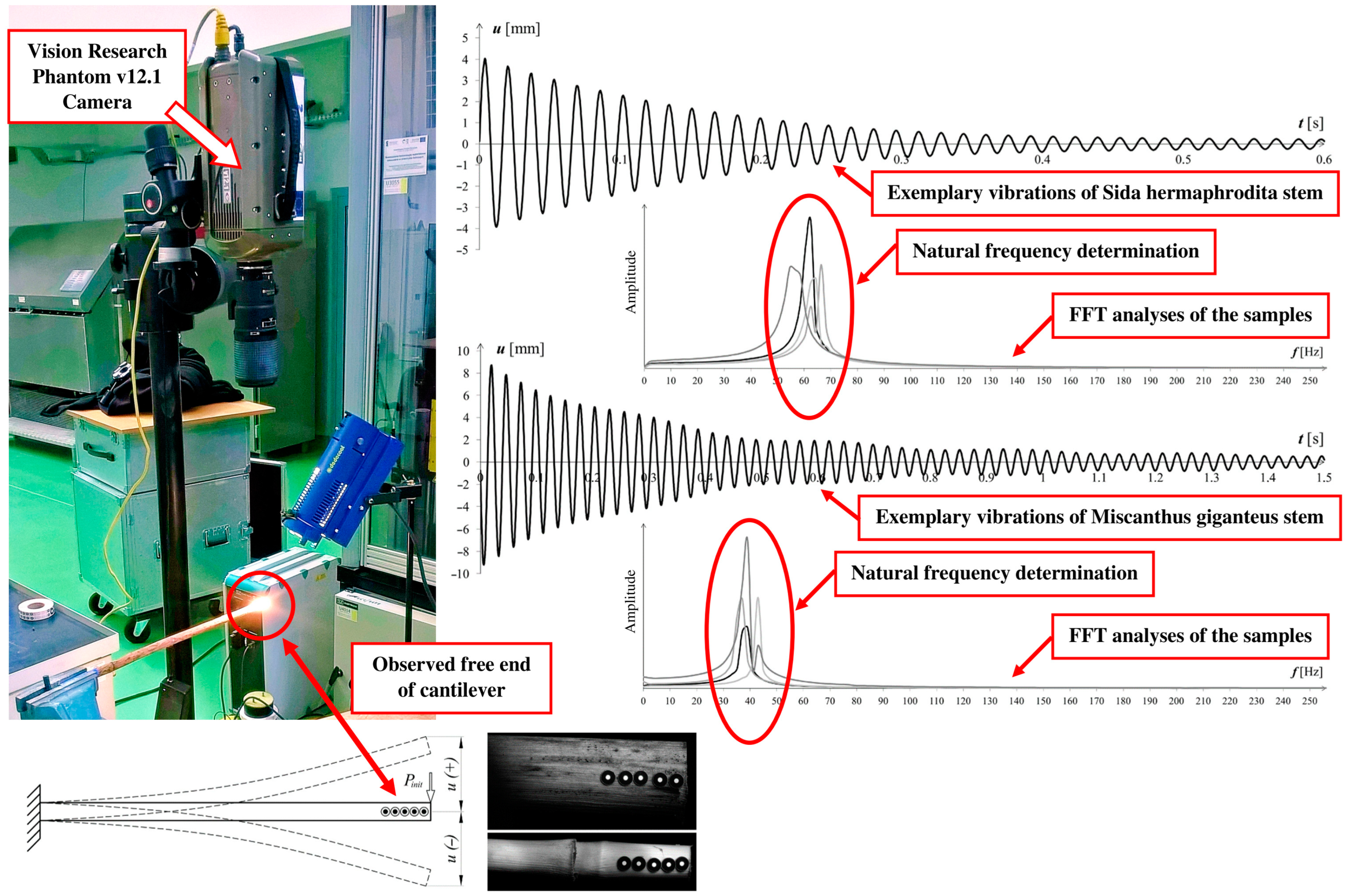 Materials 16 03868 g001