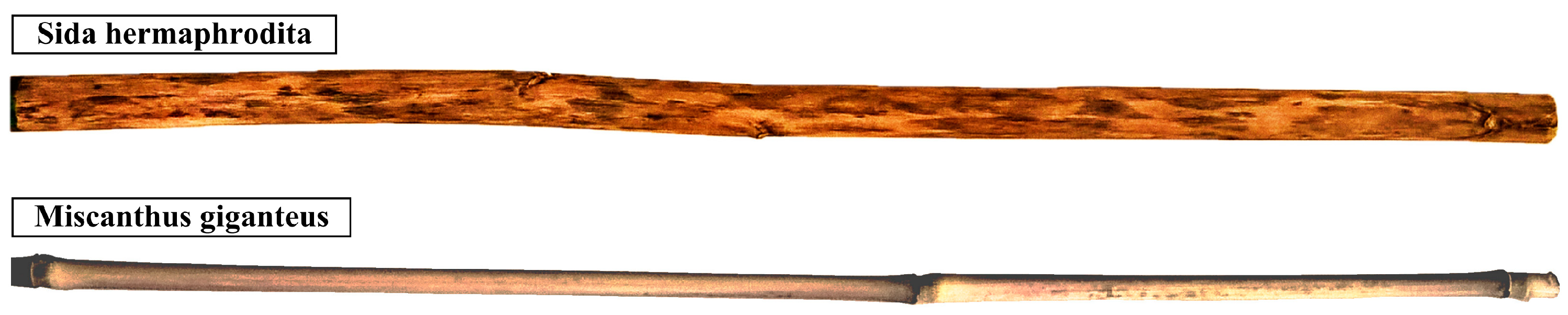 Materials 16 03868 g005