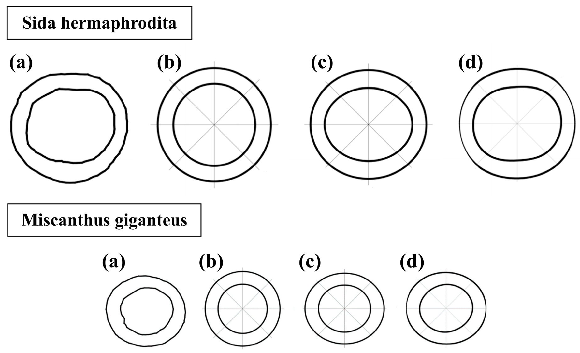 Materials 16 03868 g006