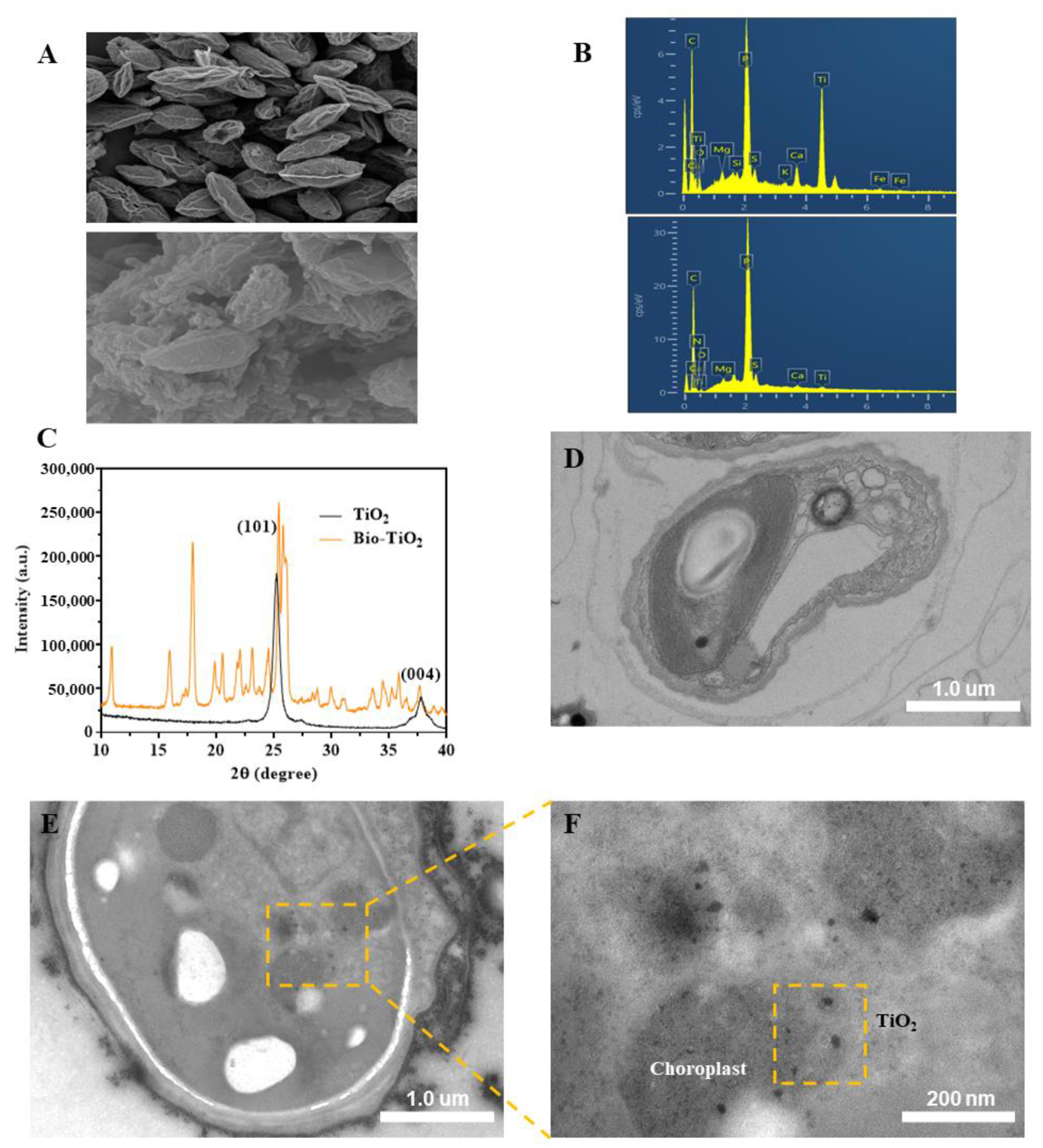 Materials 16 03882 g001 Materials 16 03882 g001
