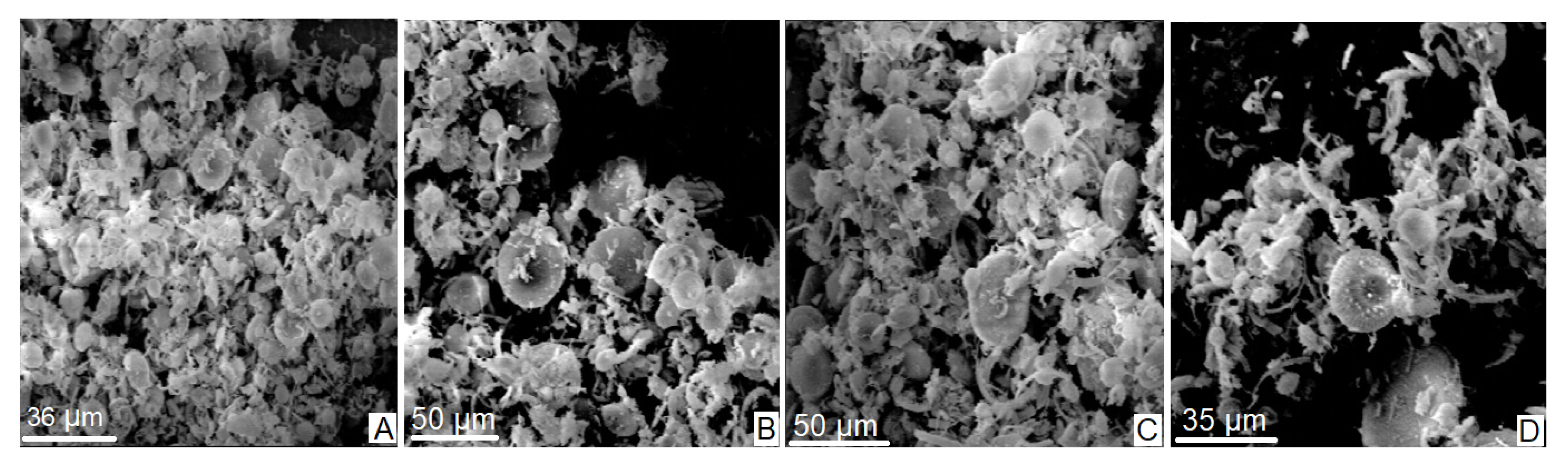 Materials 16 03883 g002 Materials 16 03883 g002