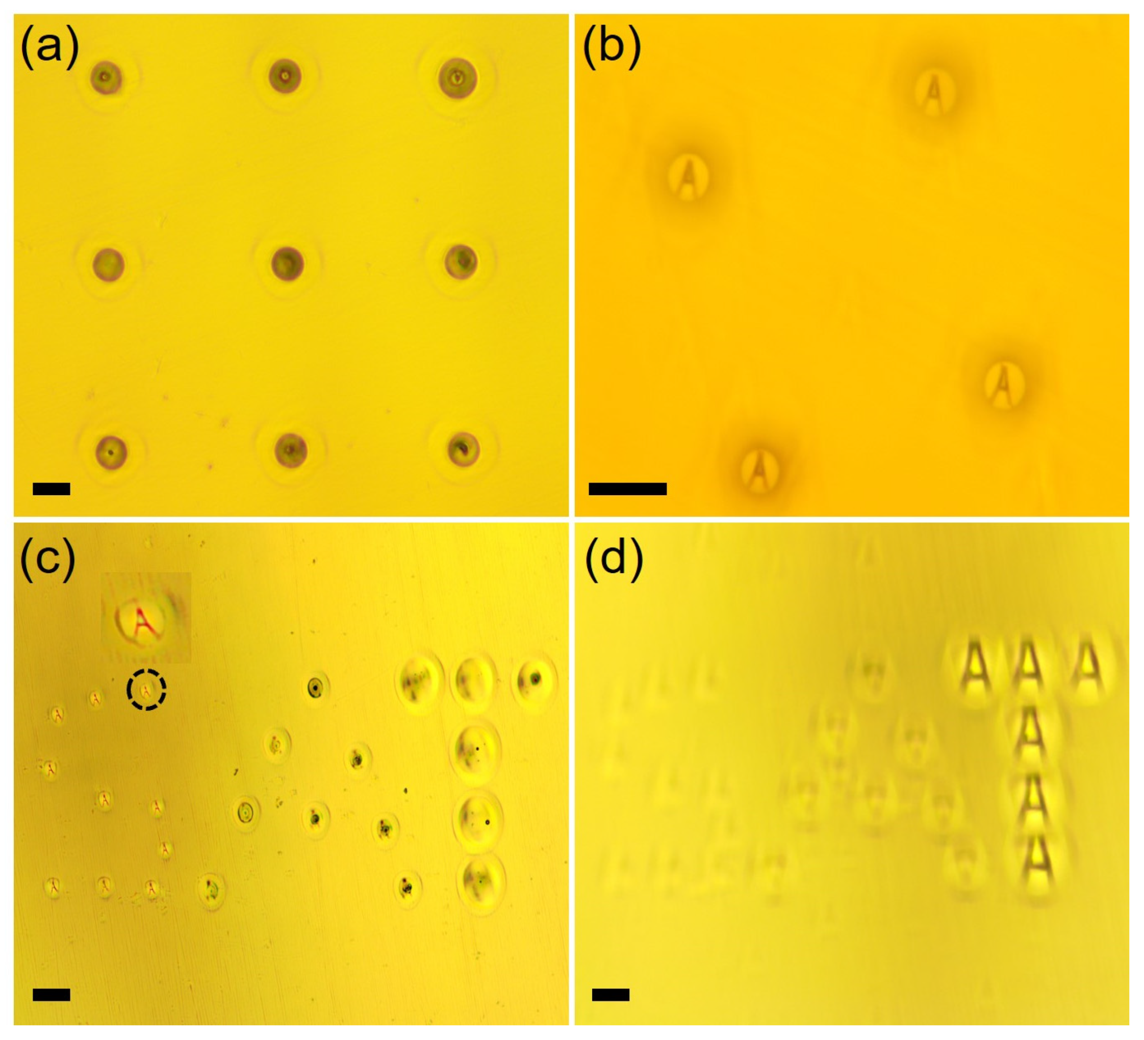 Materials 16 03899 g004