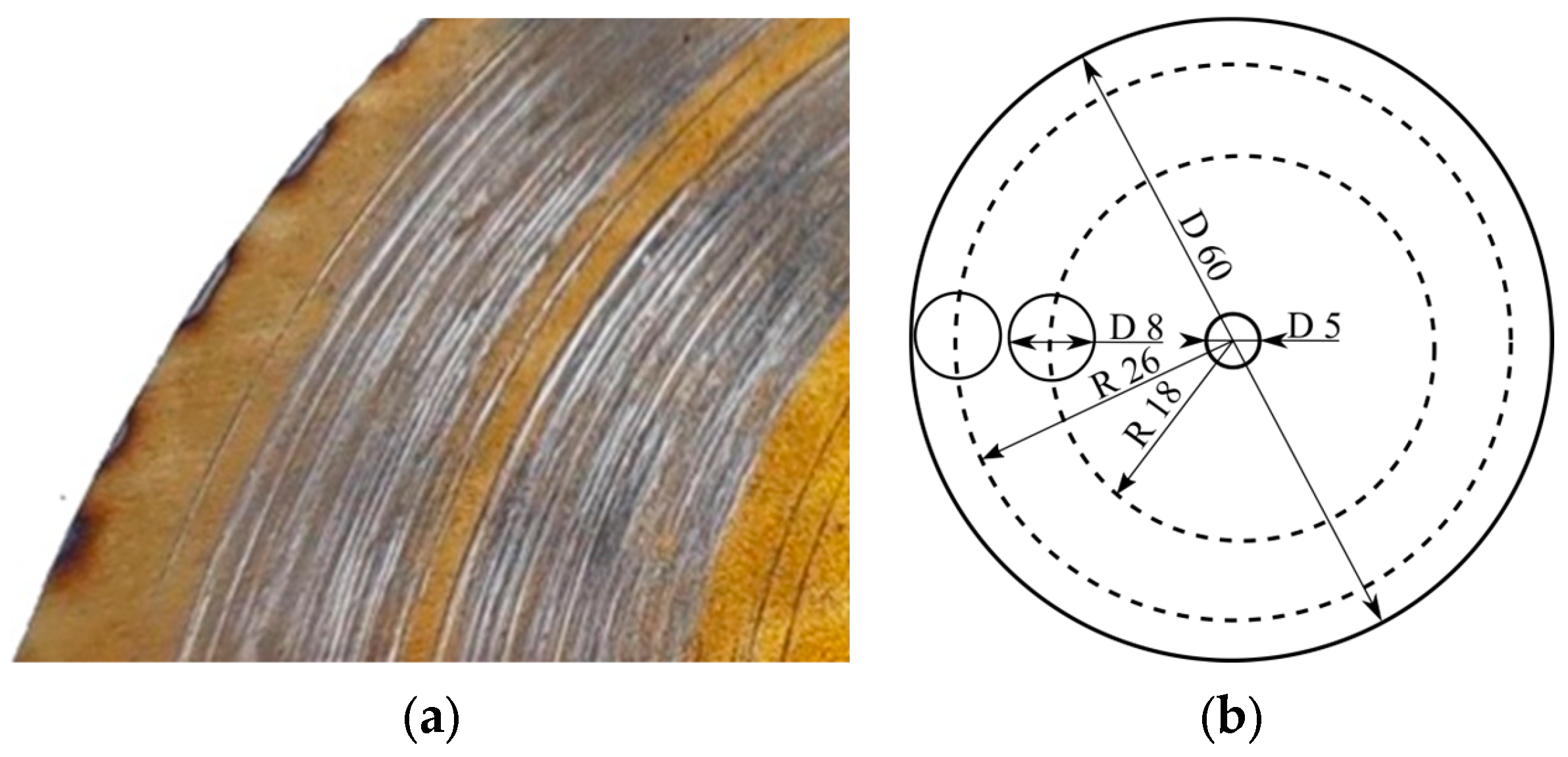 Materials 16 03900 g001