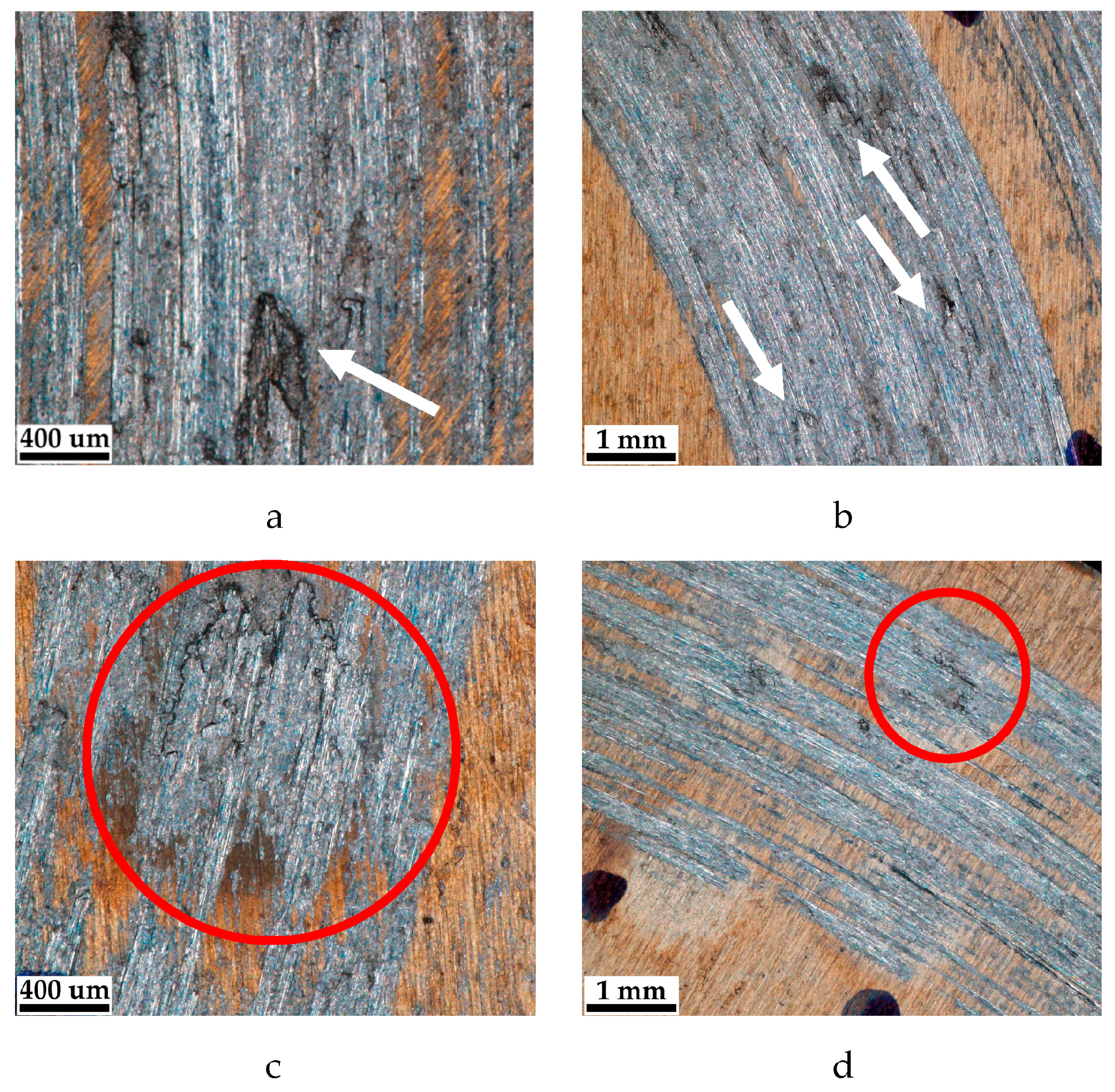 Materials 16 03900 g010