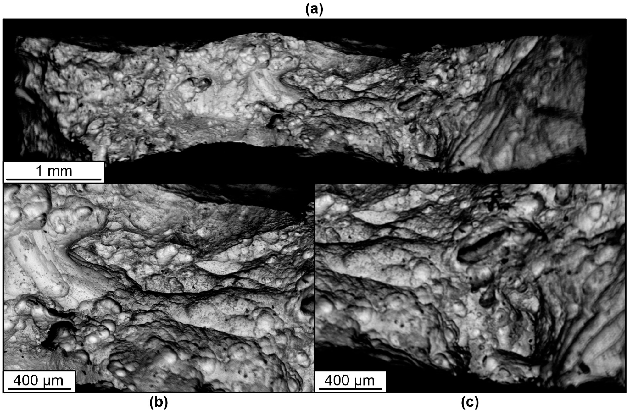 Materials 16 03901 g020