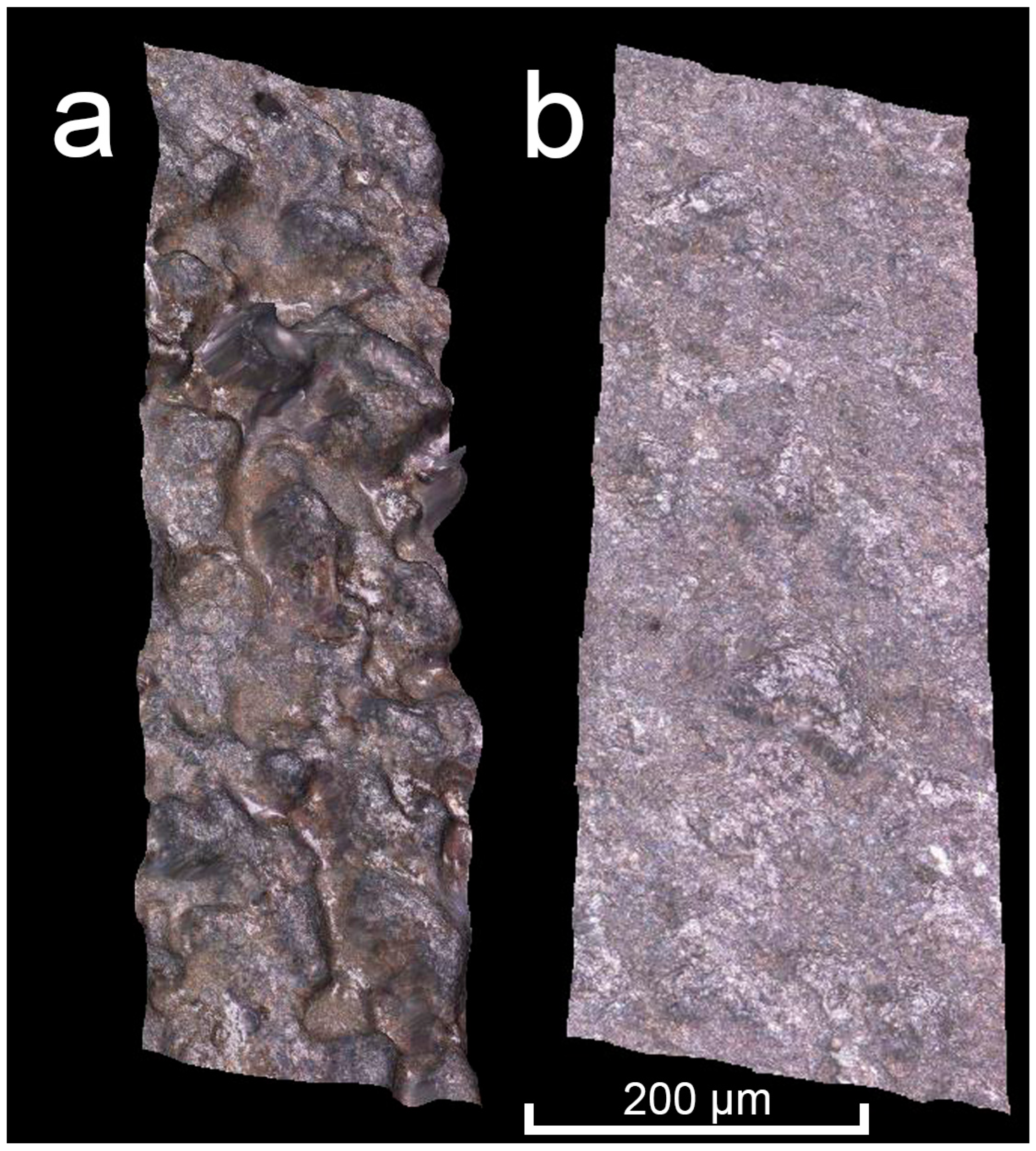 Materials 16 03907 g009