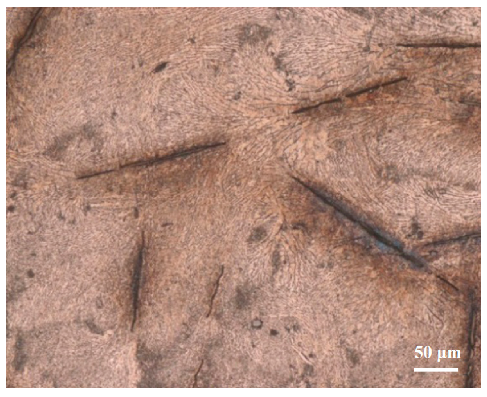 Materials 16 03908 g005