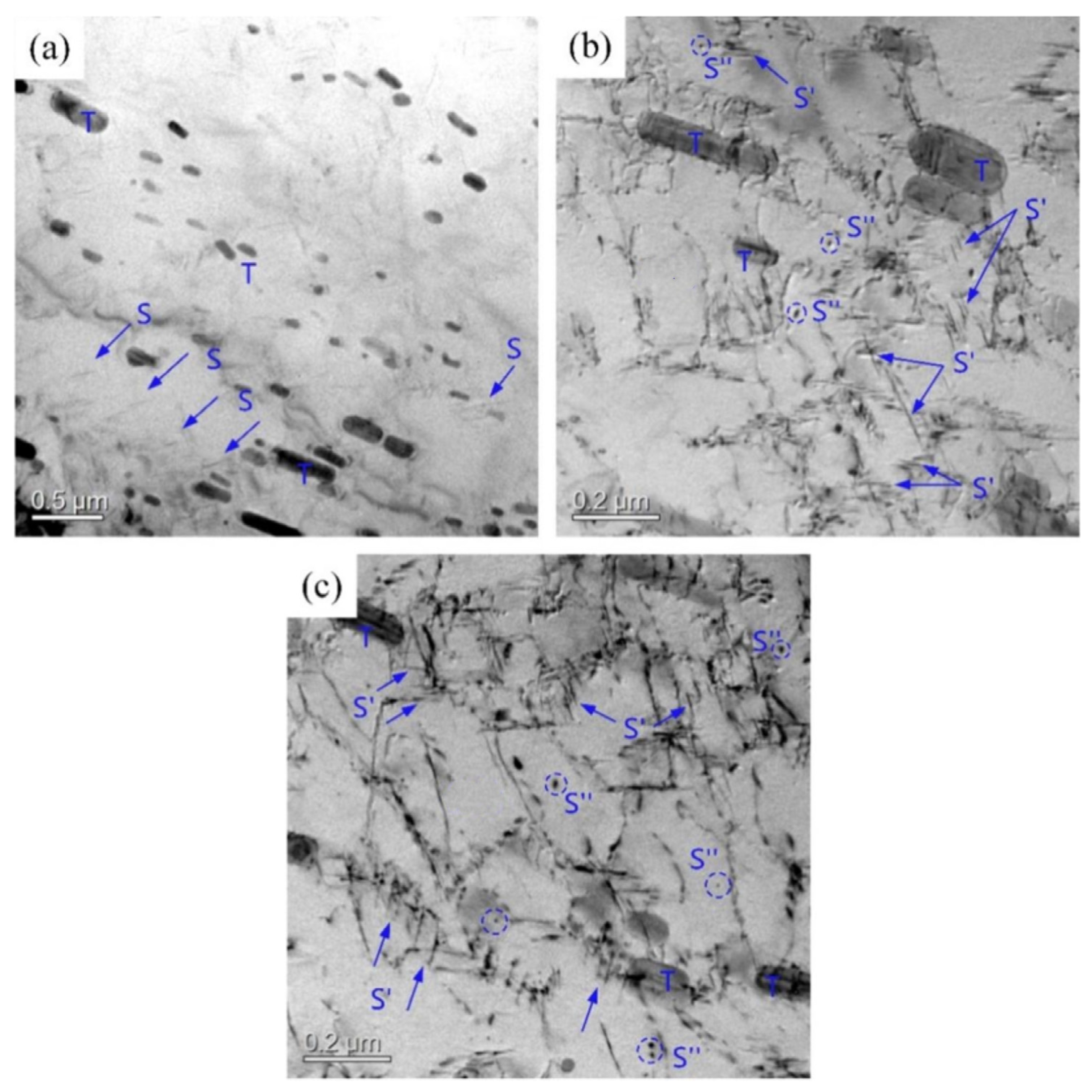 Materials 16 03921 g008