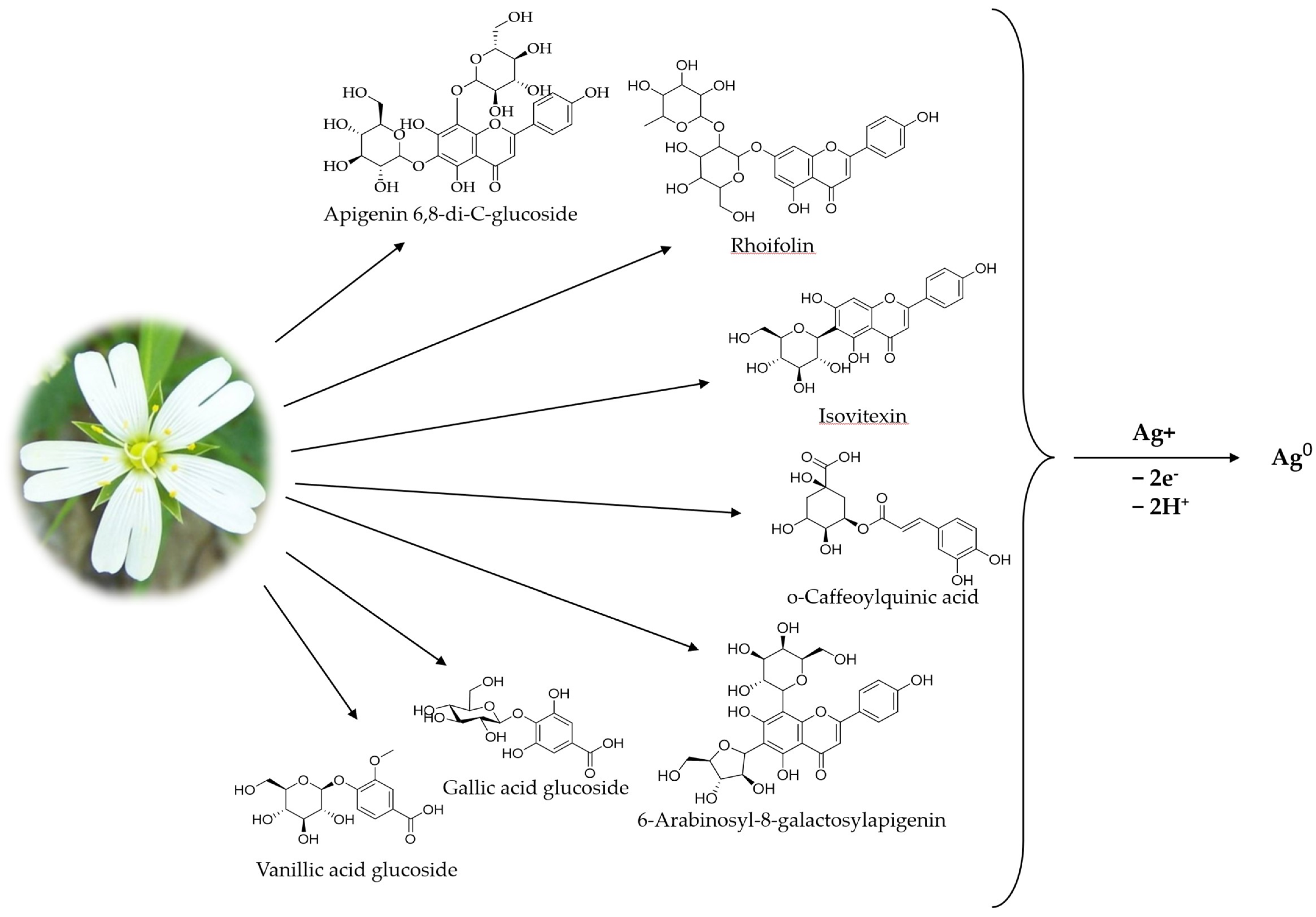 Materials 16 03924 g003