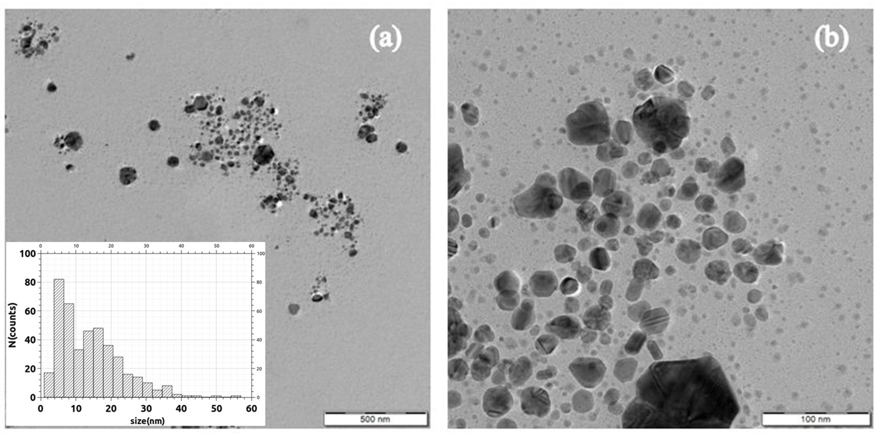Materials 16 03924 g010