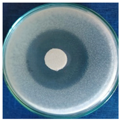 Materials 16 03924 i001