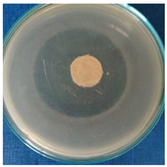 Materials 16 03924 i002