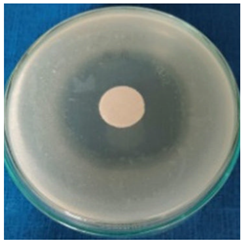 Materials 16 03924 i005