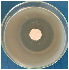 Materials 16 03924 i006