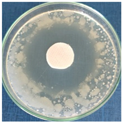 Materials 16 03924 i007