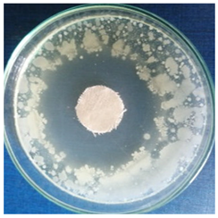 Materials 16 03924 i008