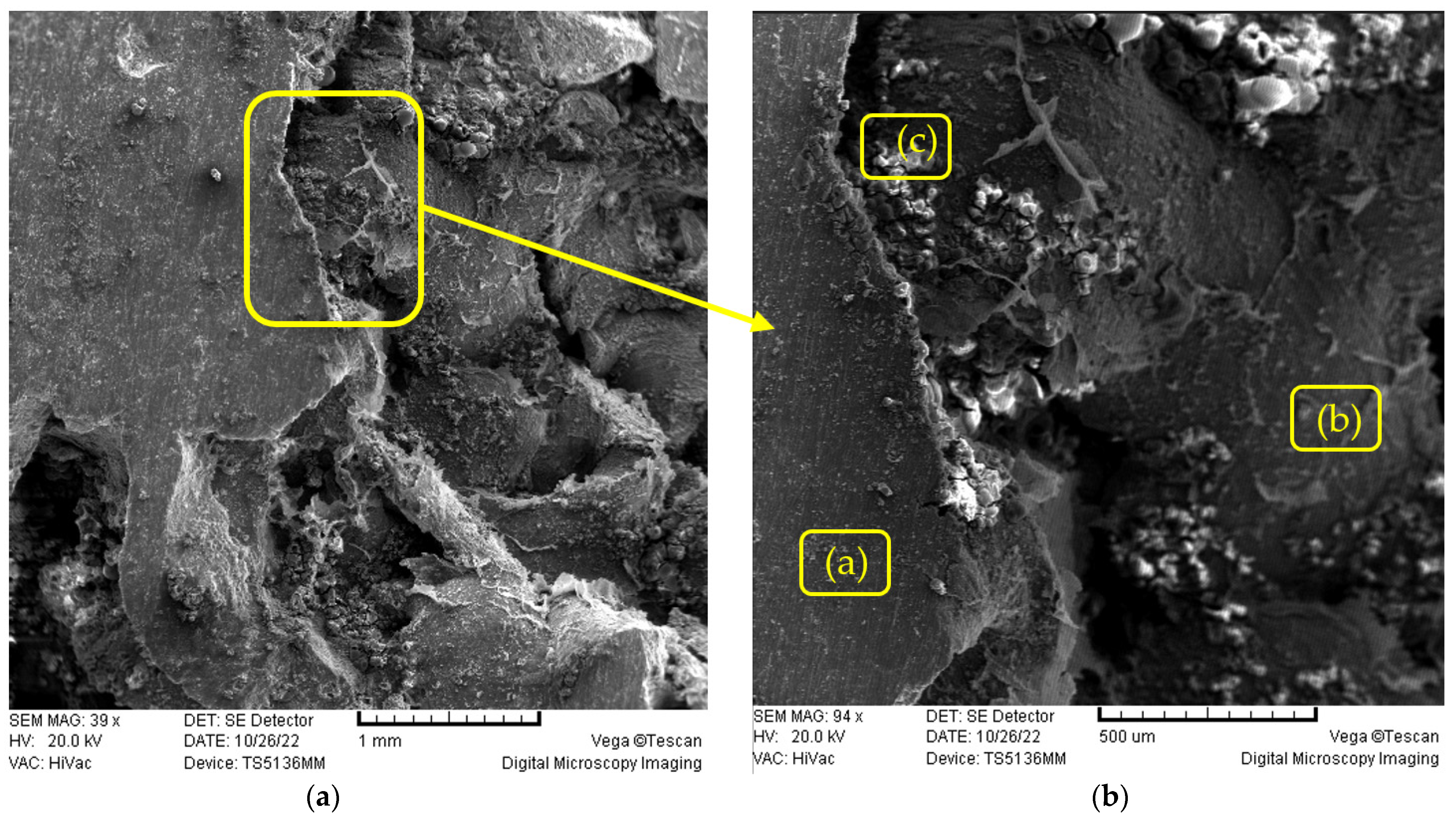 Materials 16 03930 g009 Materials 16 03930 g009