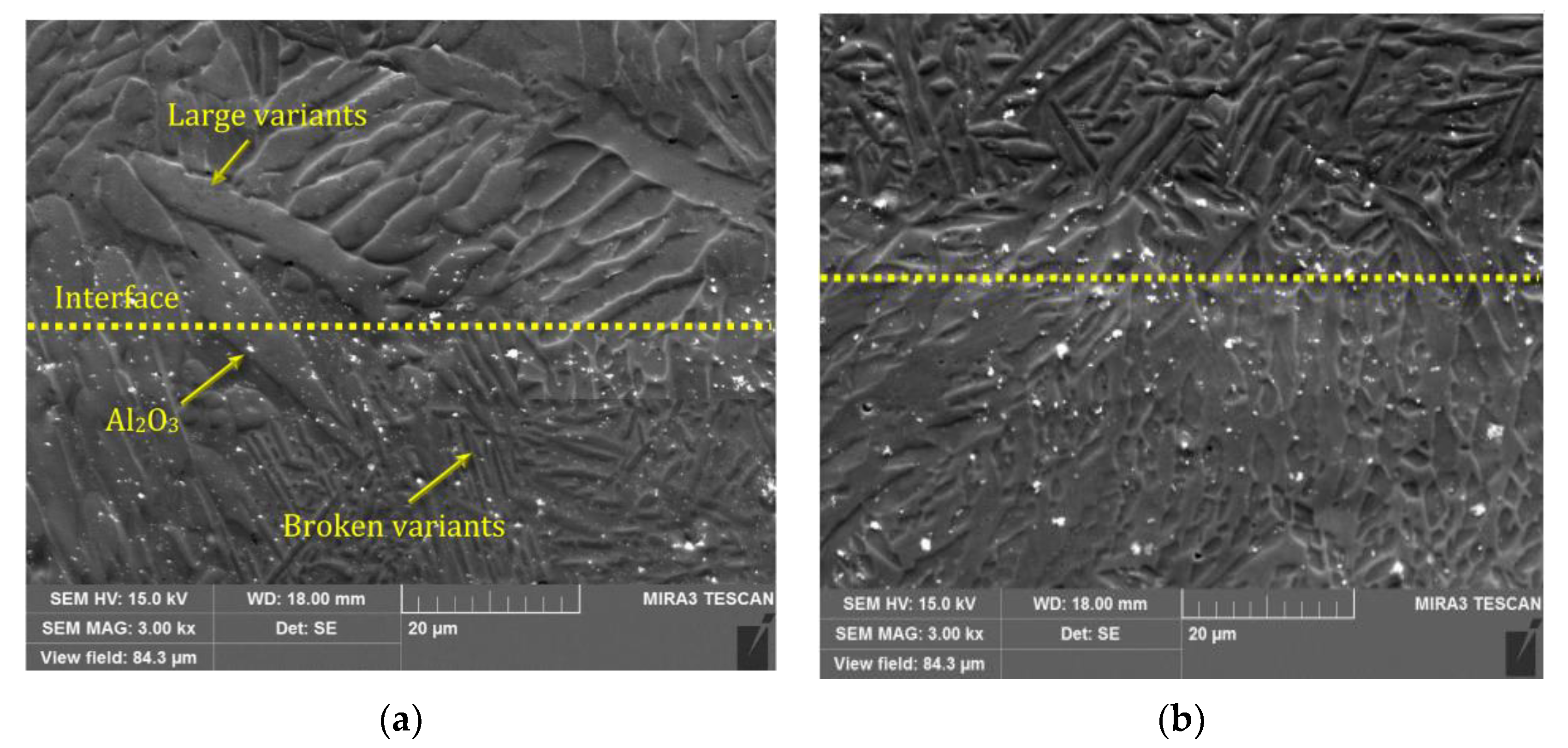Materials 16 03936 g006 Materials 16 03936 g006
