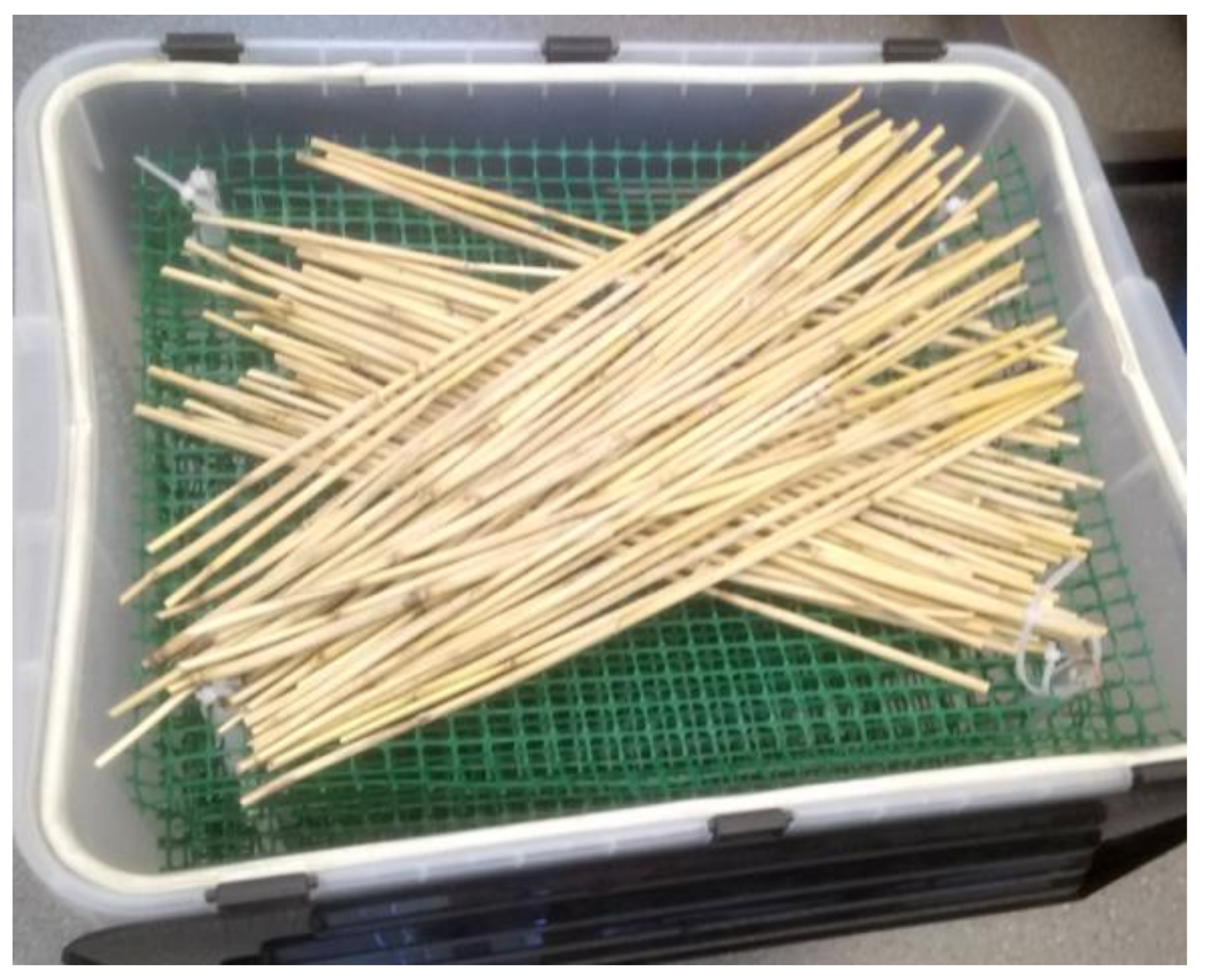 Materials 16 03943 g003 Materials 16 03943 g003