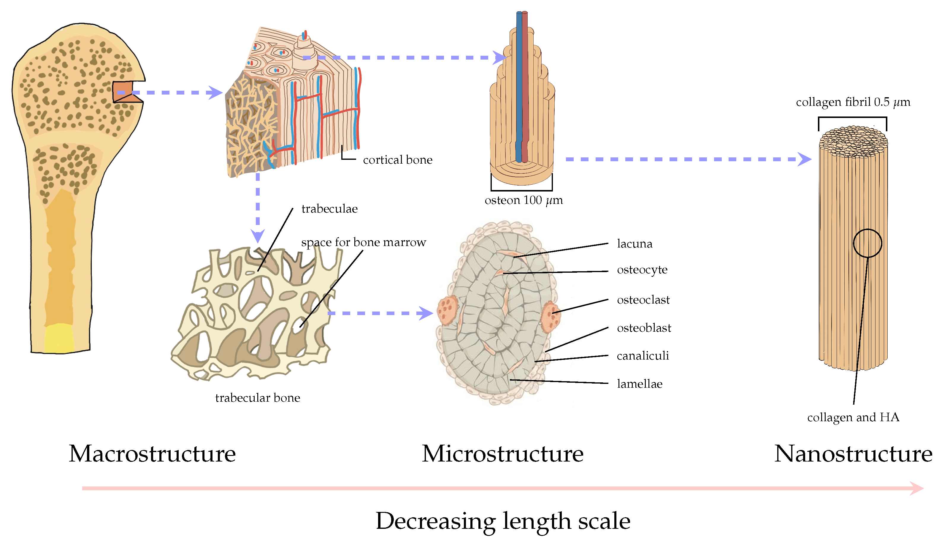 Materials 16 03946 g003 Materials 16 03946 g003