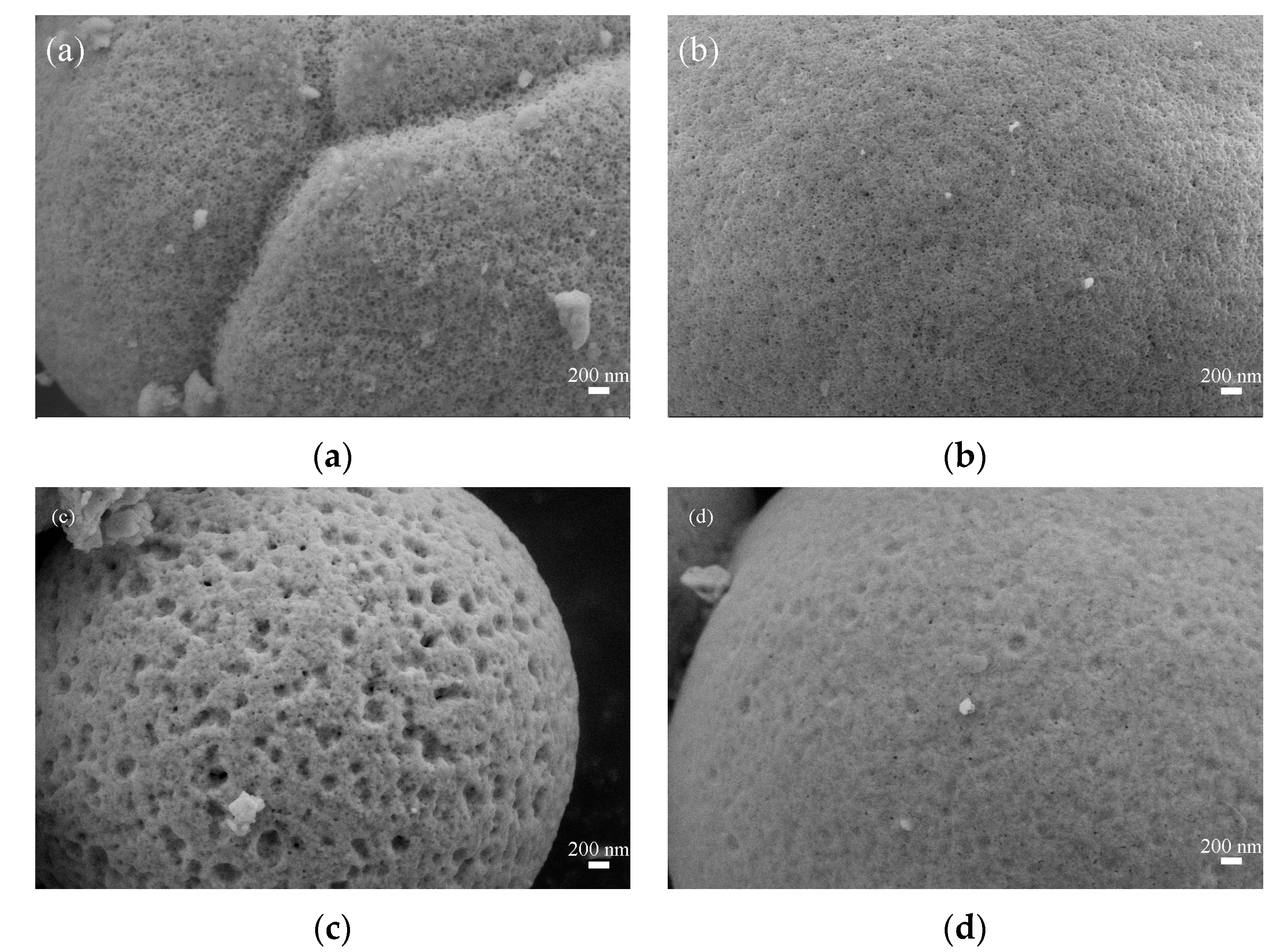 Materials 16 03948 g005 Materials 16 03948 g005