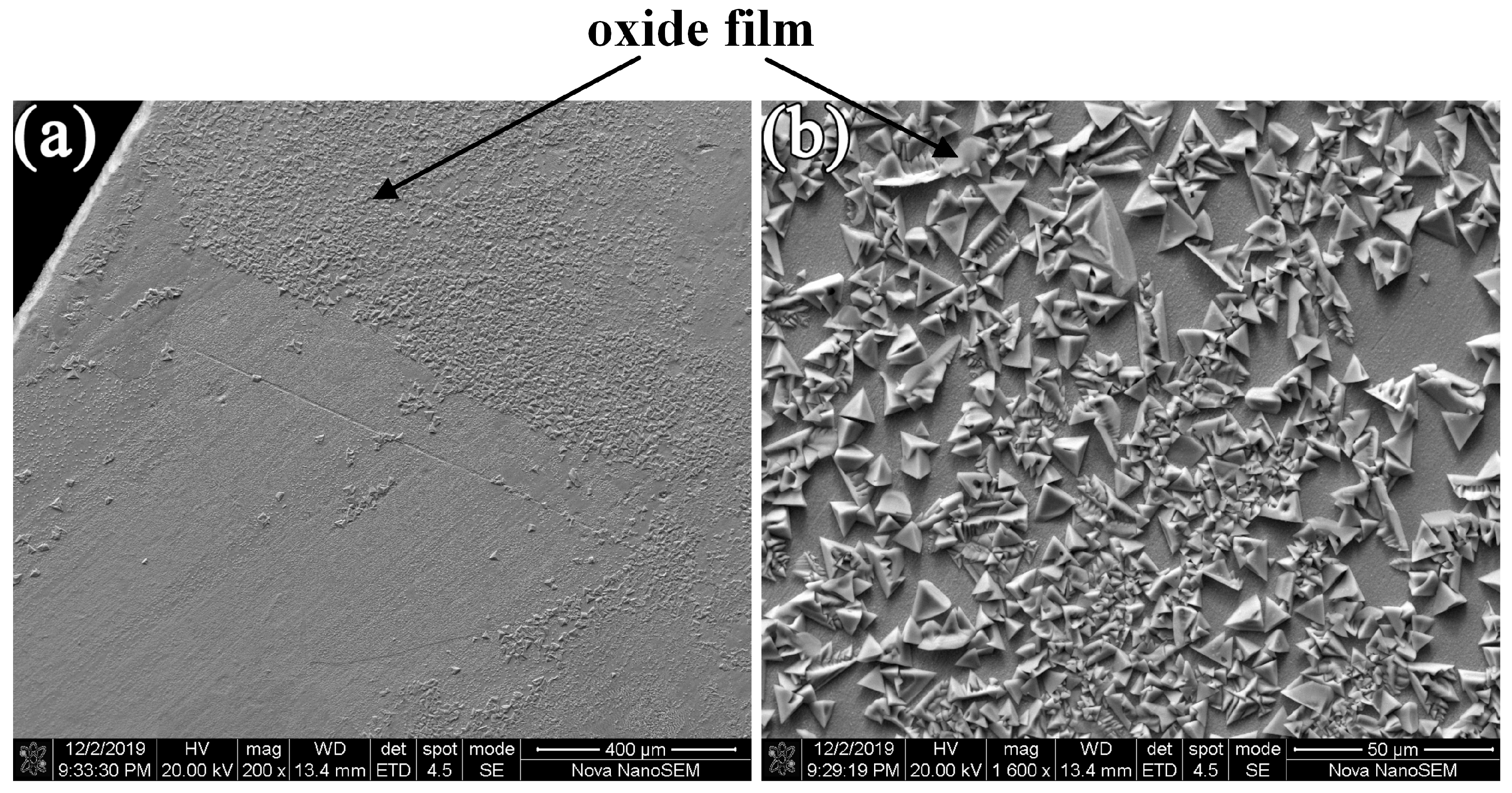 Materials 16 03956 g007