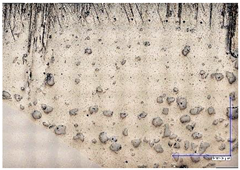 Materials 16 03960 i009