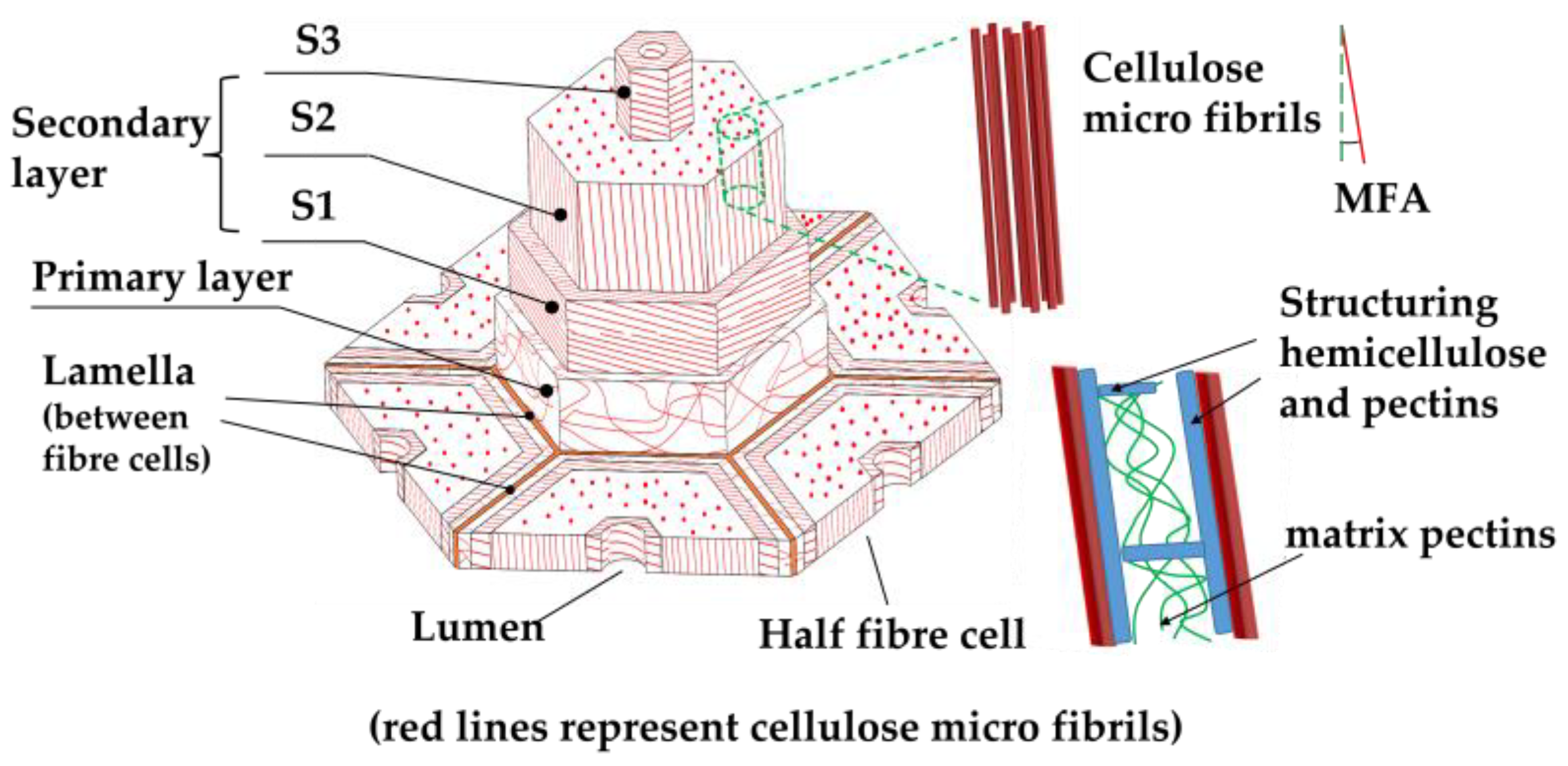 Materials 16 03962 g002