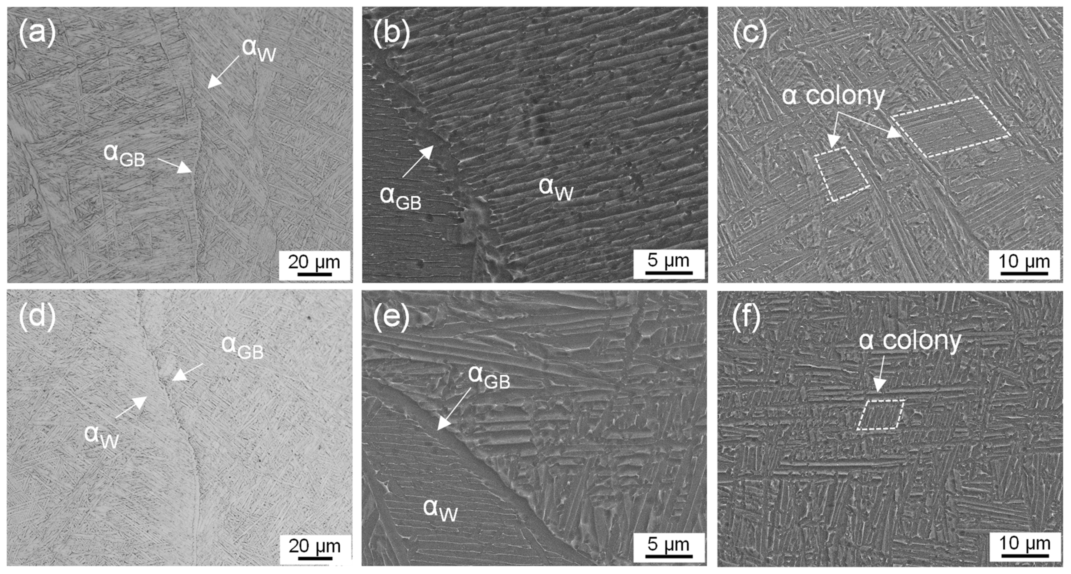 Materials 16 03973 g003 Materials 16 03973 g003