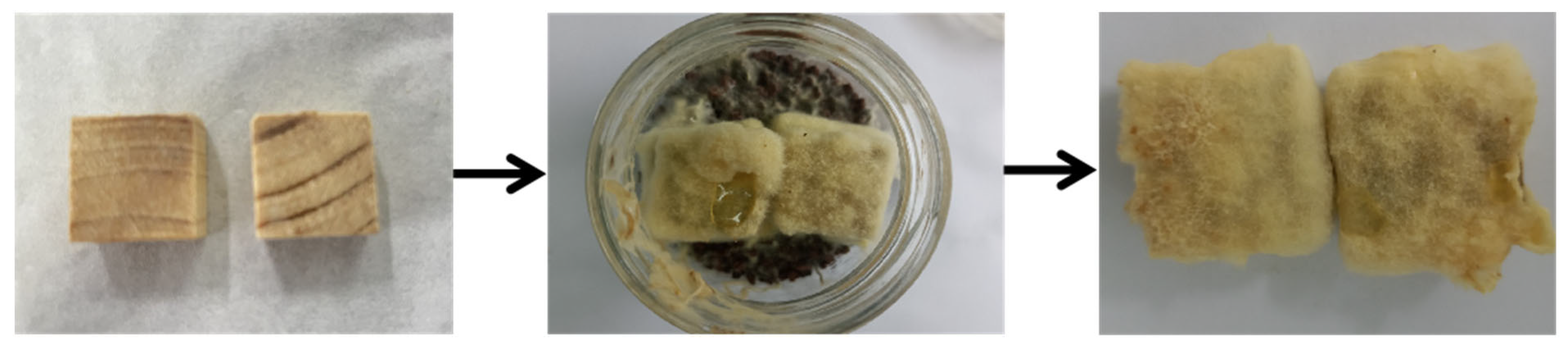 Materials 16 03976 g001