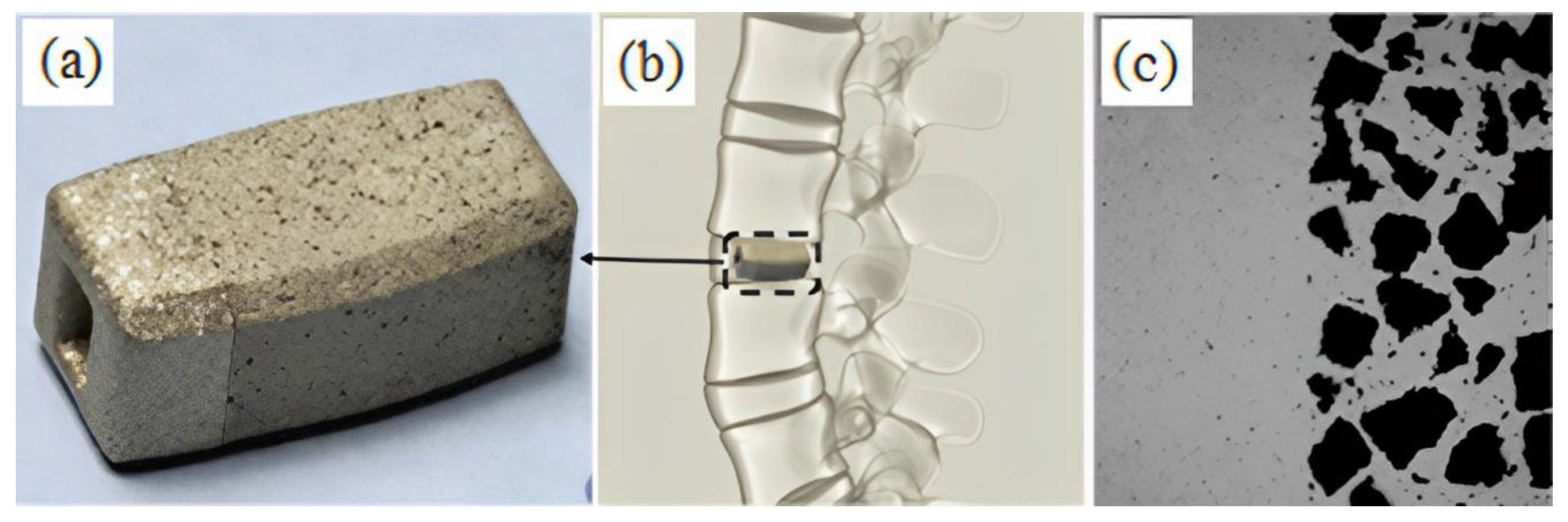 Materials 16 03991 g003 Materials 16 03991 g003