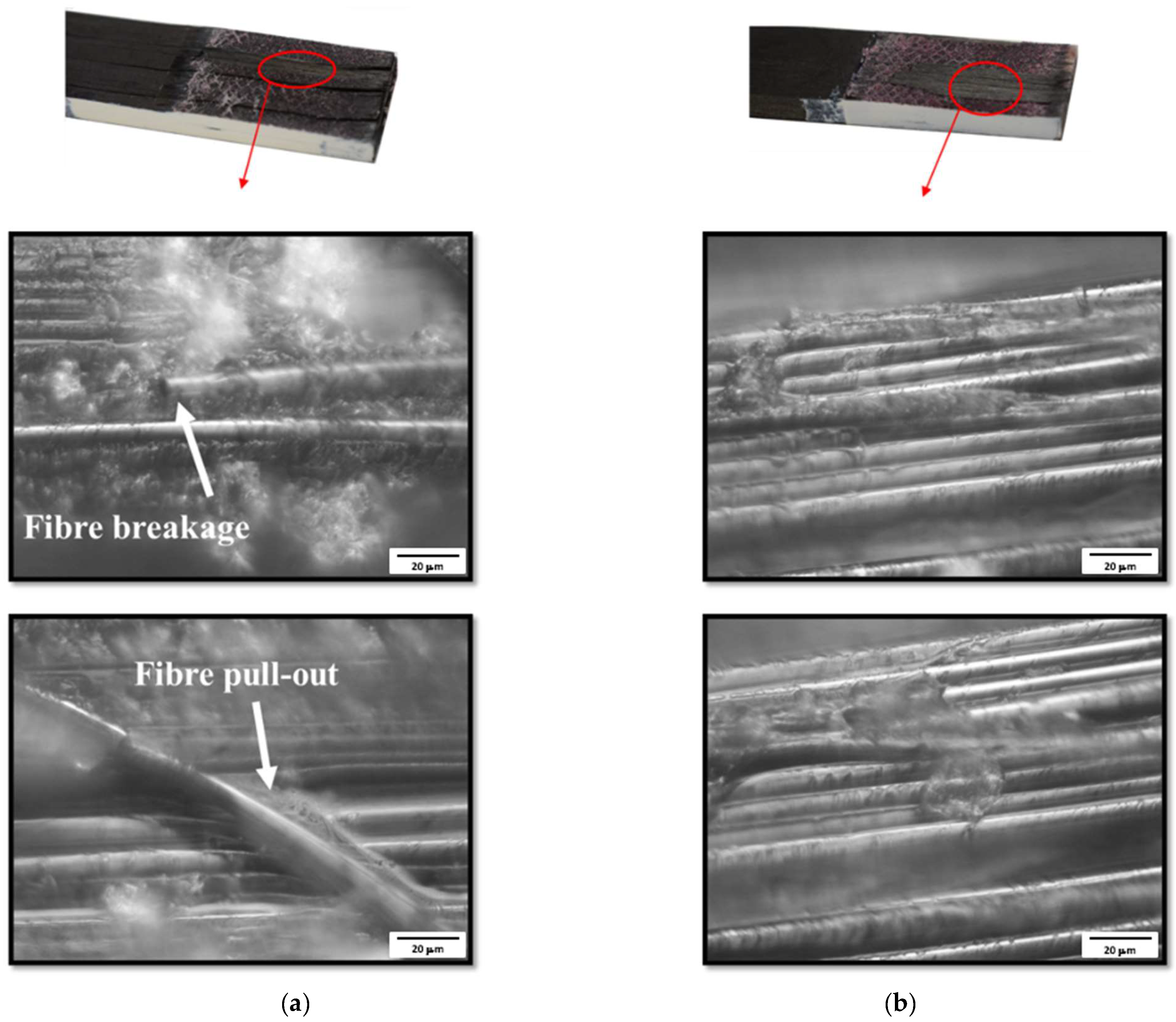 Materials 16 04002 g007