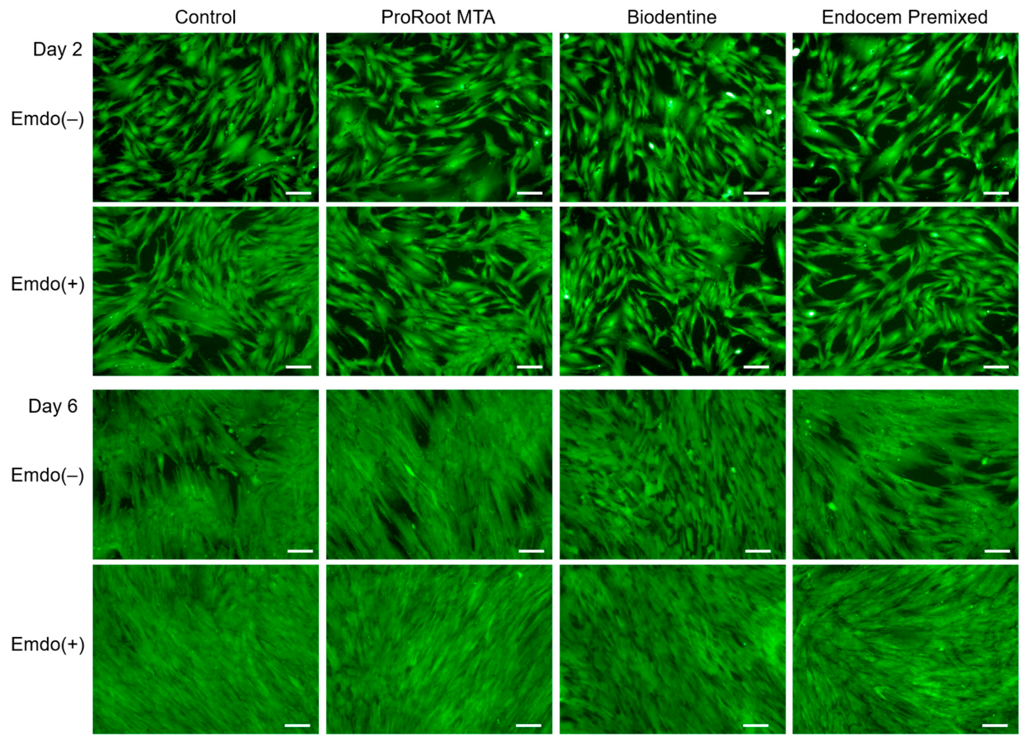 Materials 16 04003 g002 Materials 16 04003 g002
