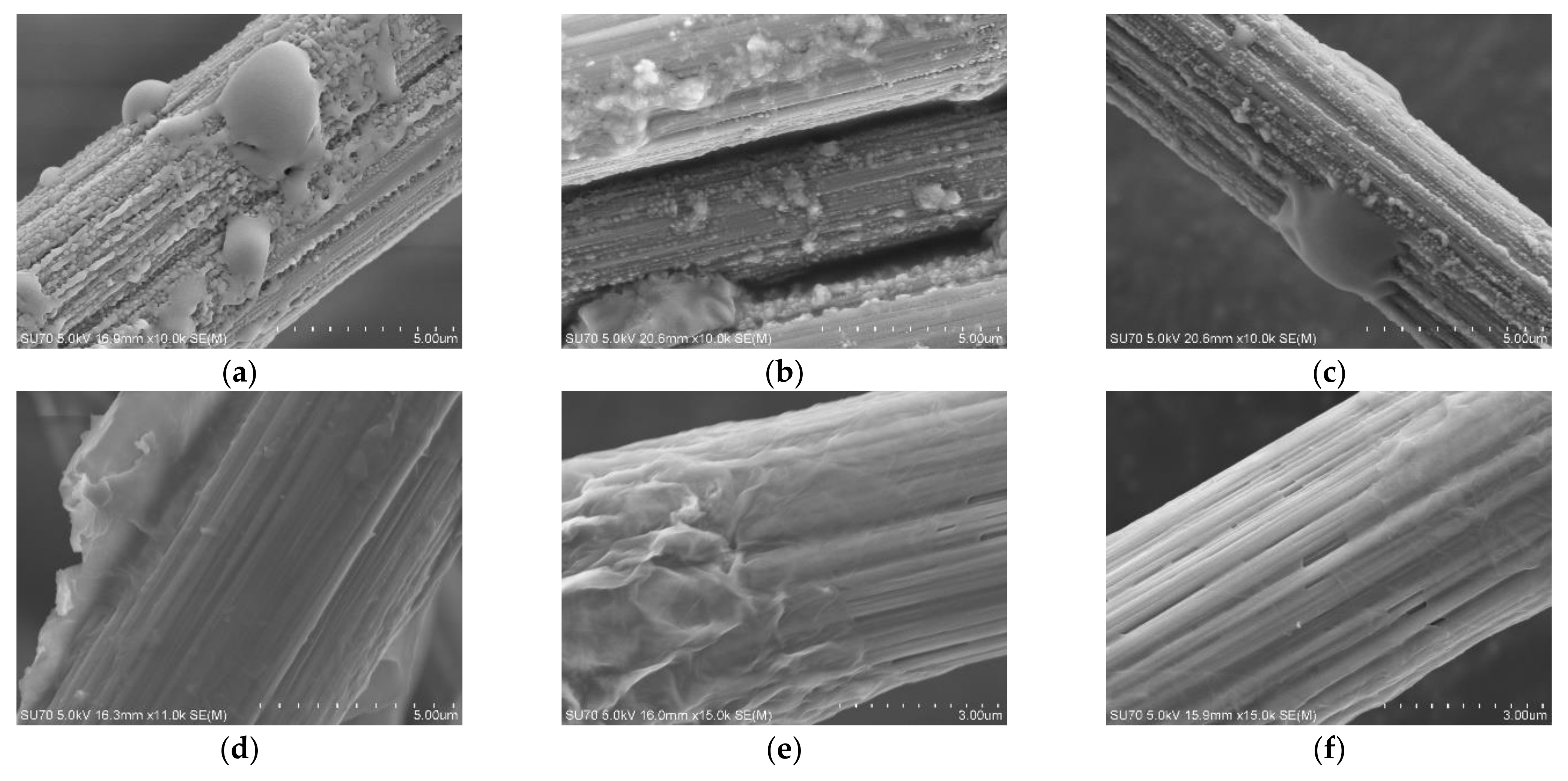 Materials 16 04005 g007