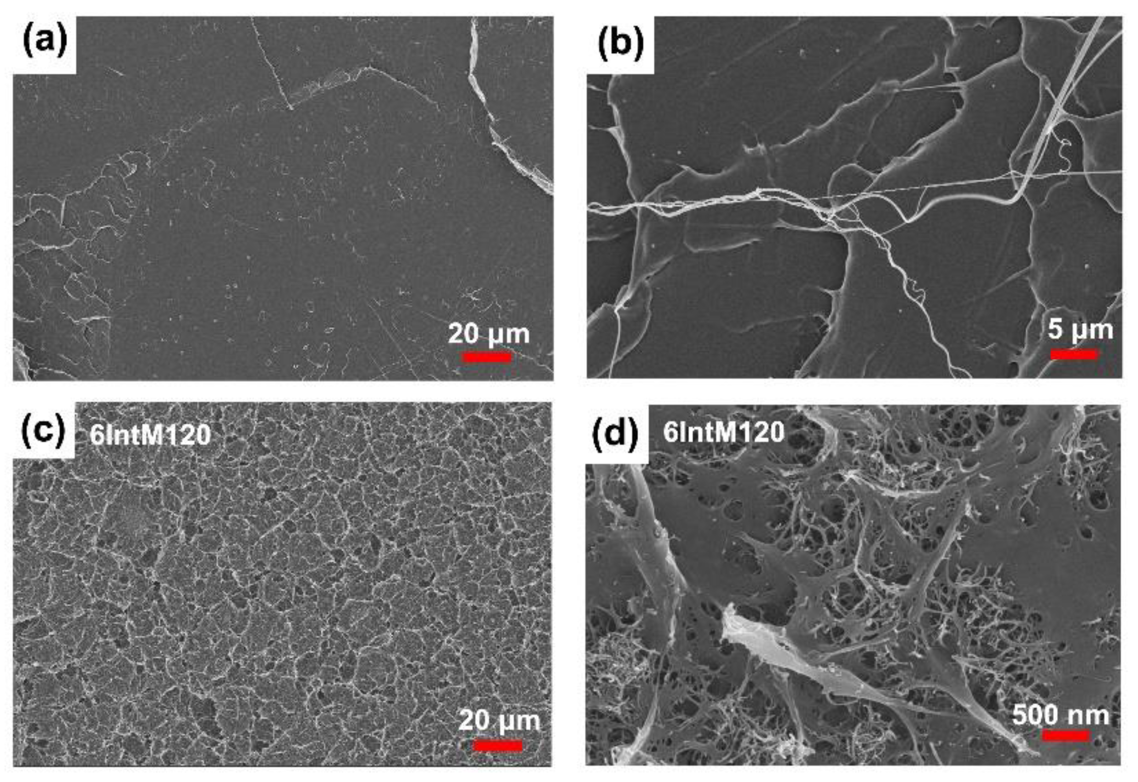 Materials 16 04012 g009 Materials 16 04012 g009