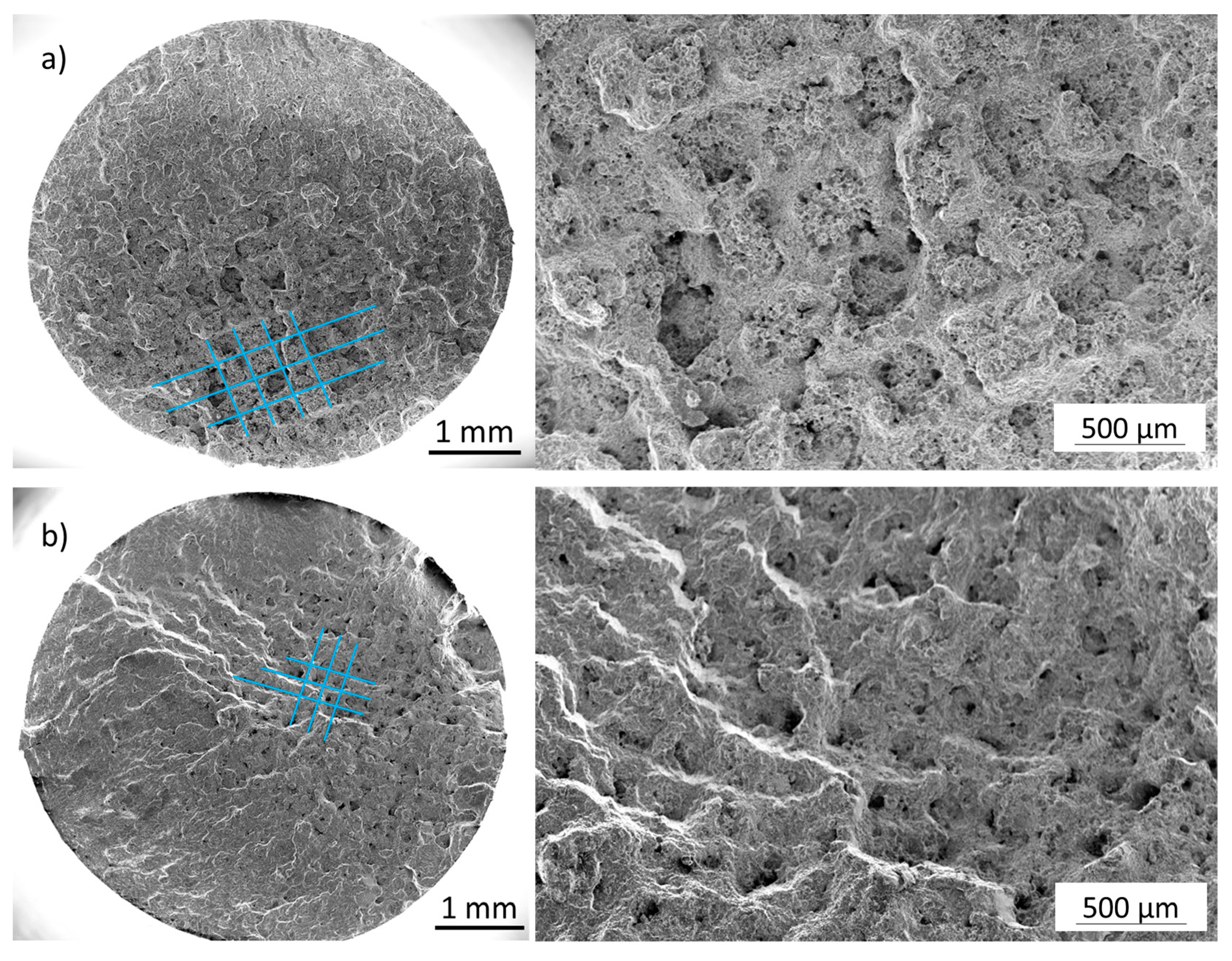 Materials 16 04014 g007