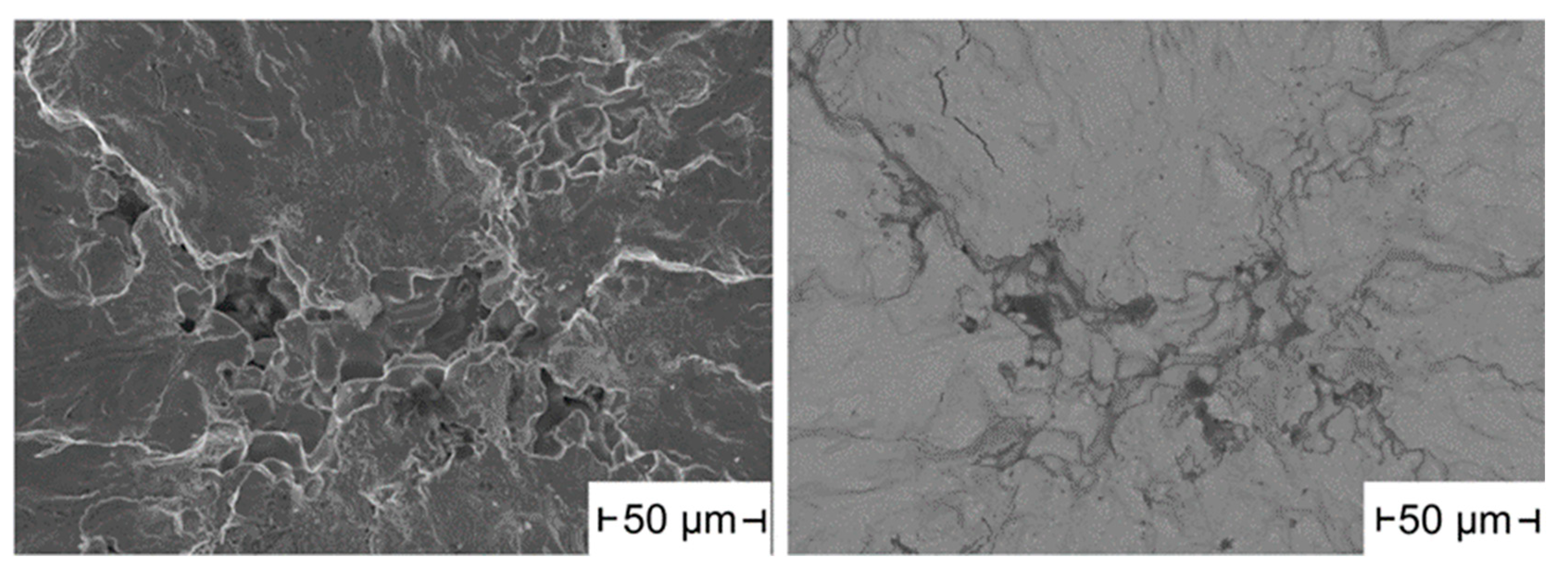 Materials 16 04014 g009