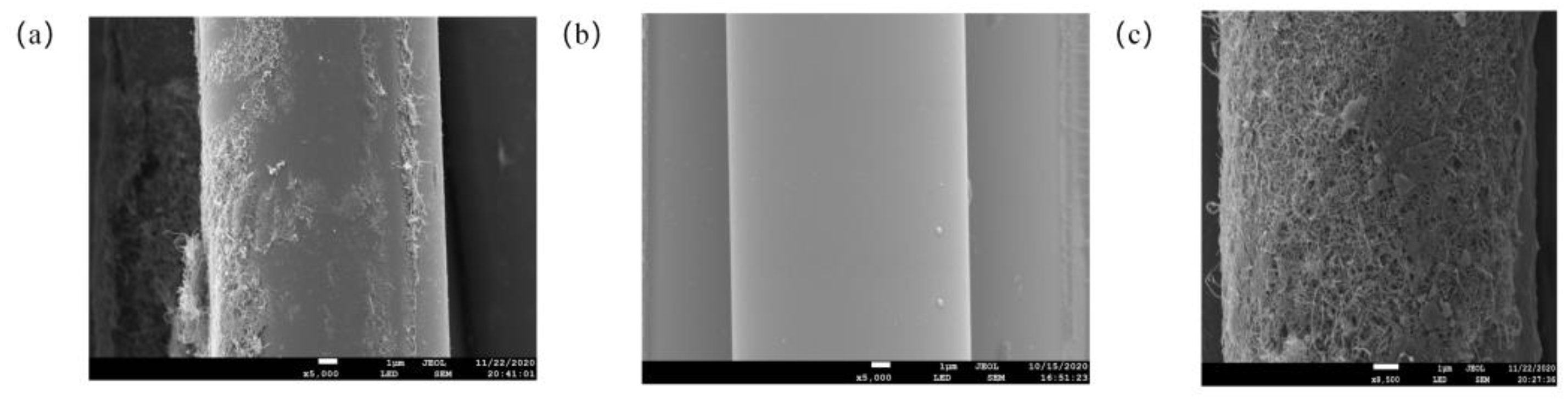 Materials 16 04015 g004 550