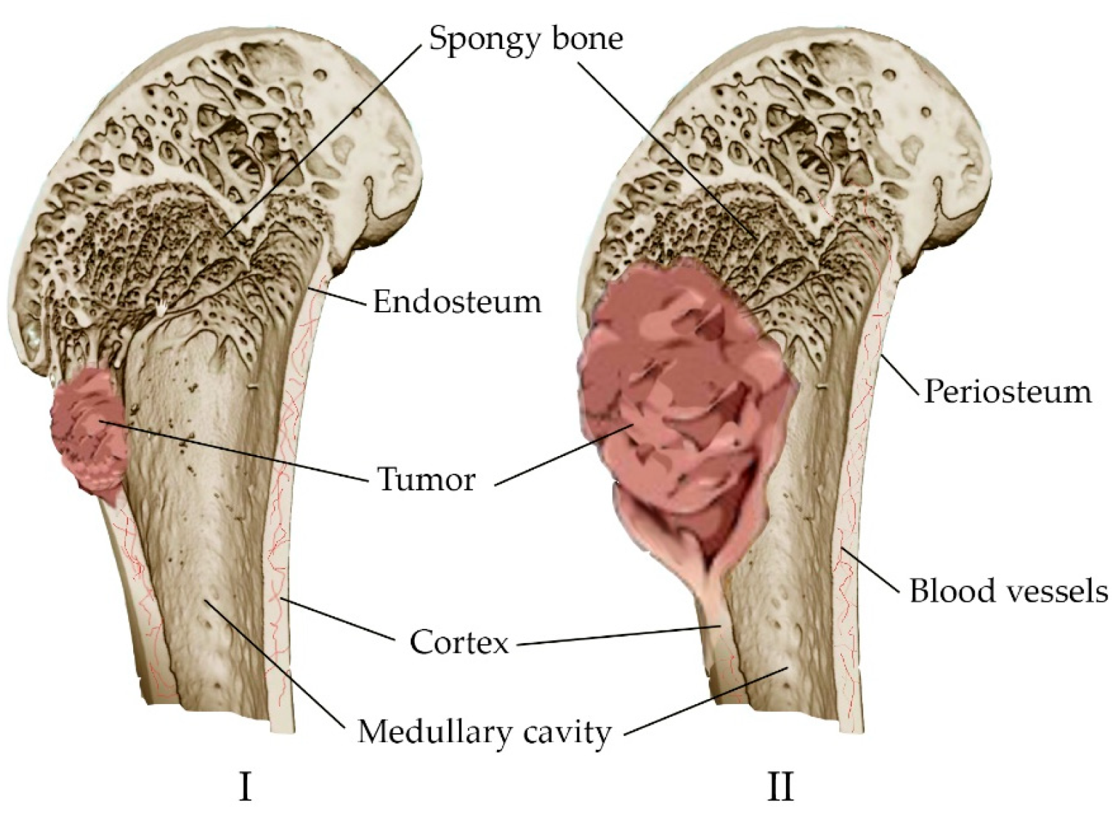 Materials 16 04017 g003 Materials 16 04017 g003