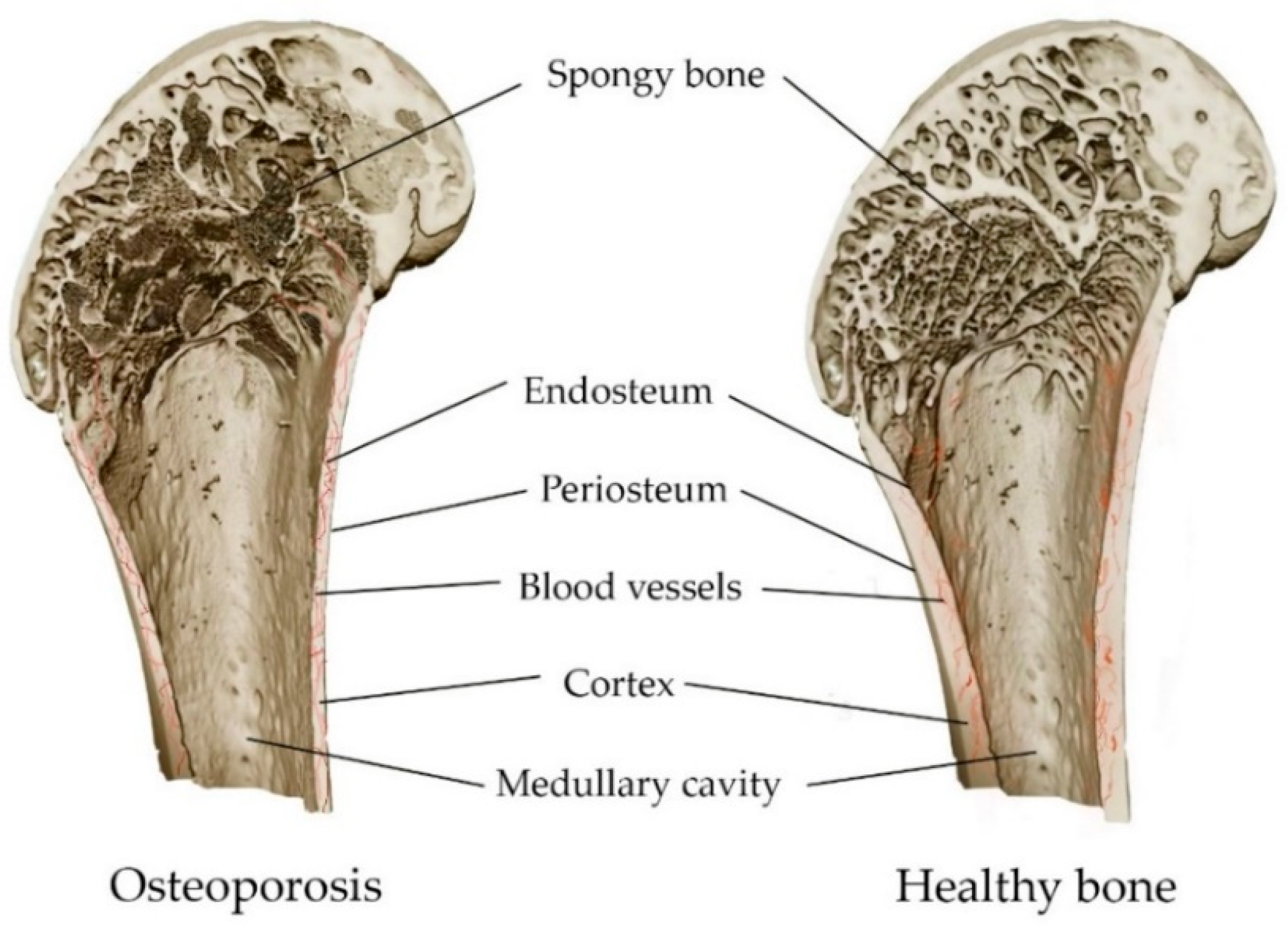 Materials 16 04017 g004 Materials 16 04017 g004