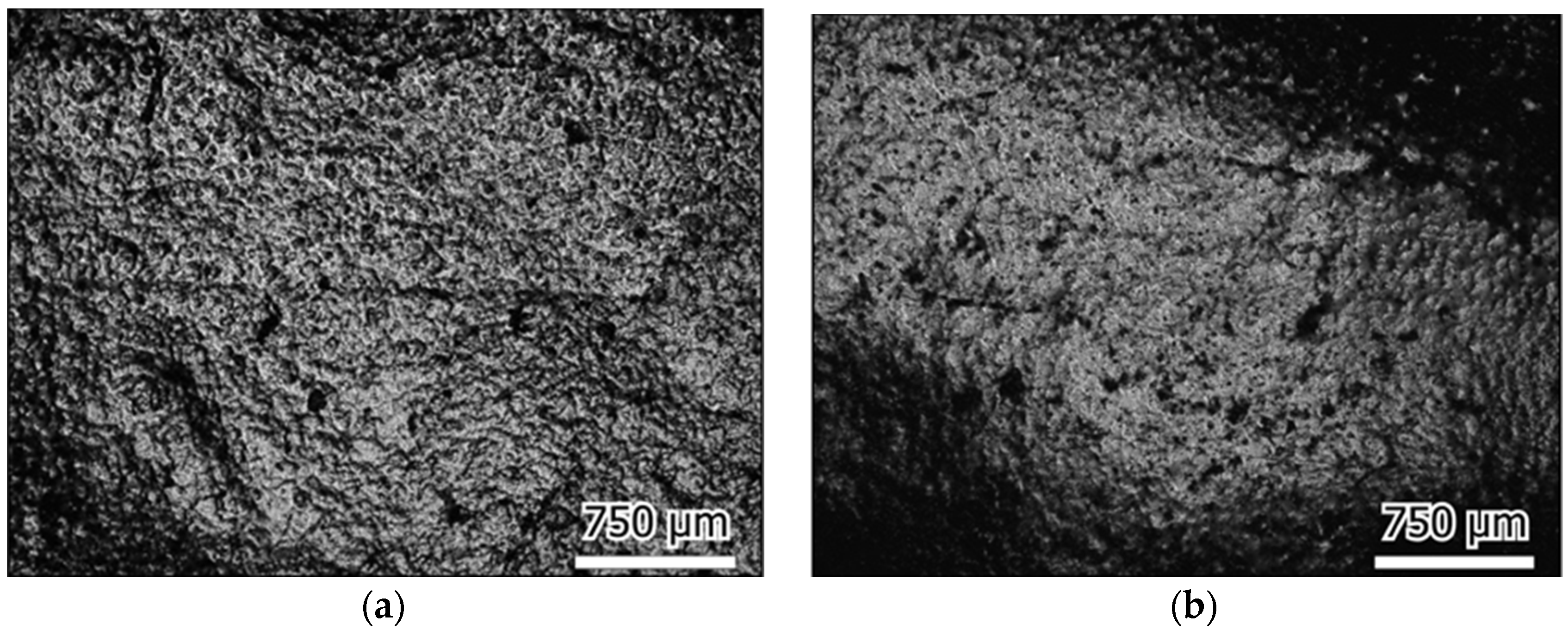 Materials 16 04023 g010 Materials 16 04023 g010