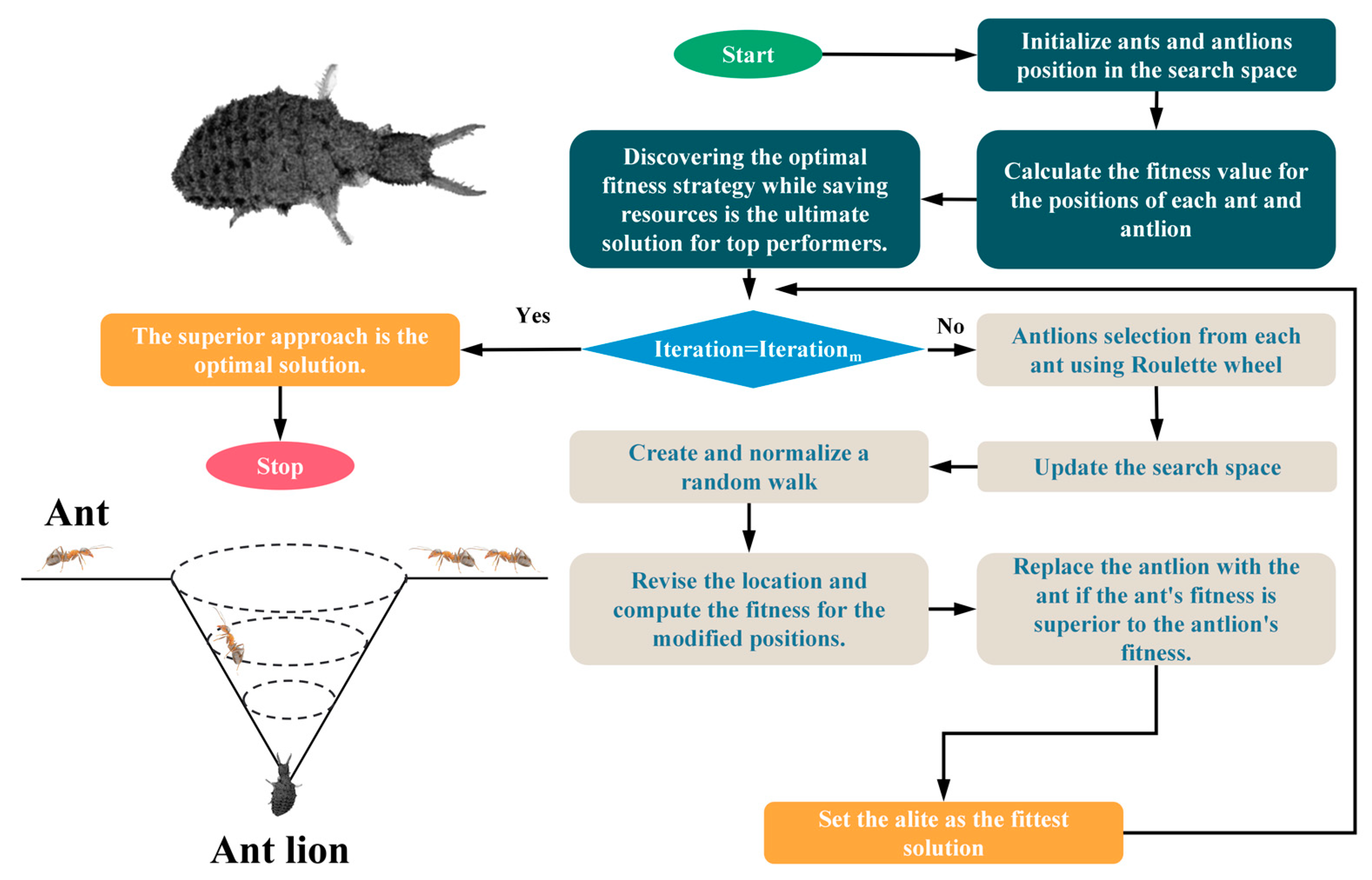 Materials 16 04034 g002